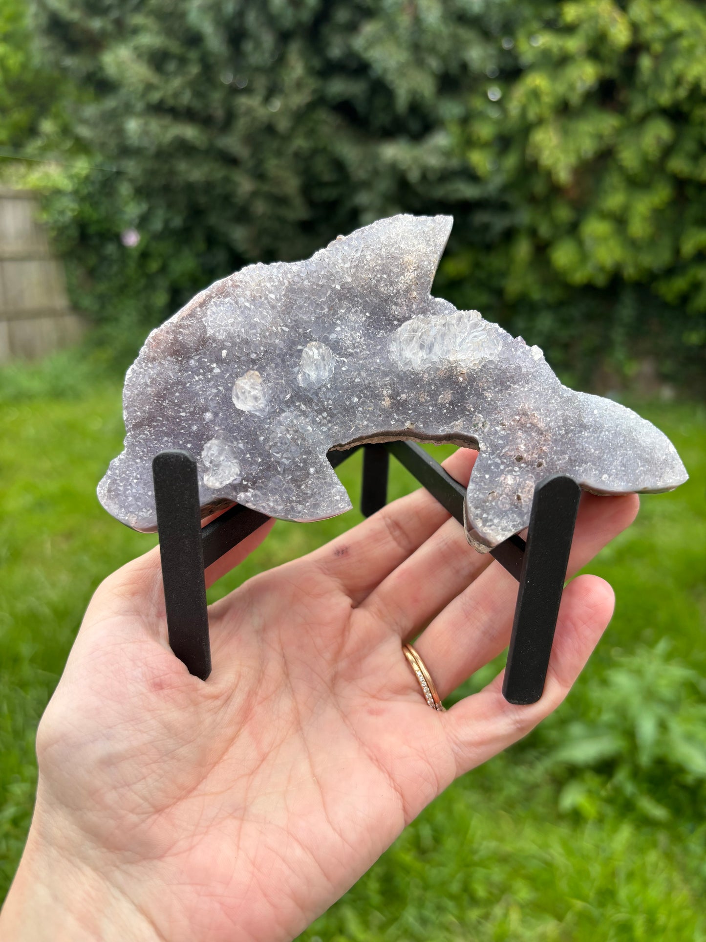 Dolphin Amethyst on stand