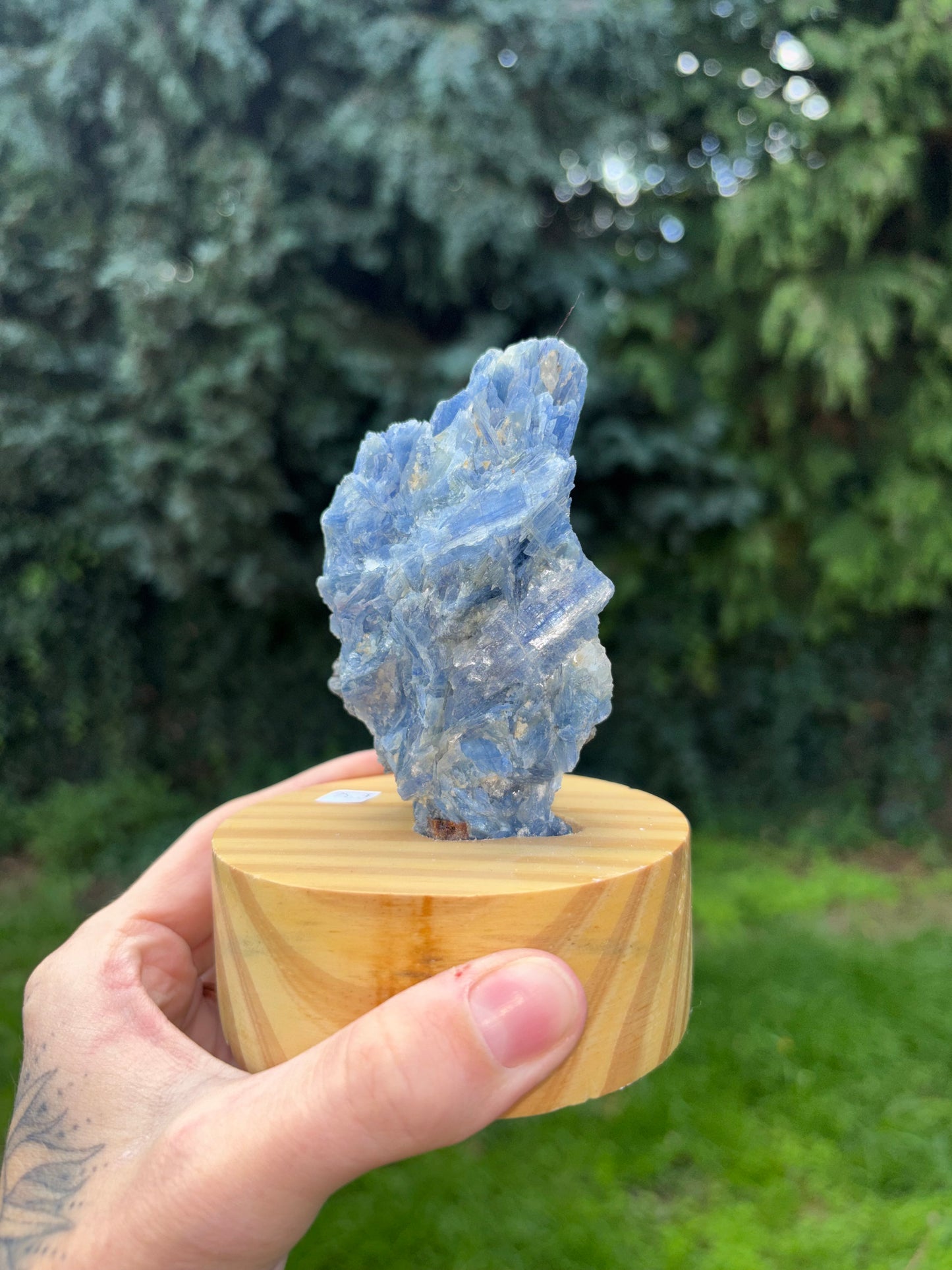 Blue kyanite on stand