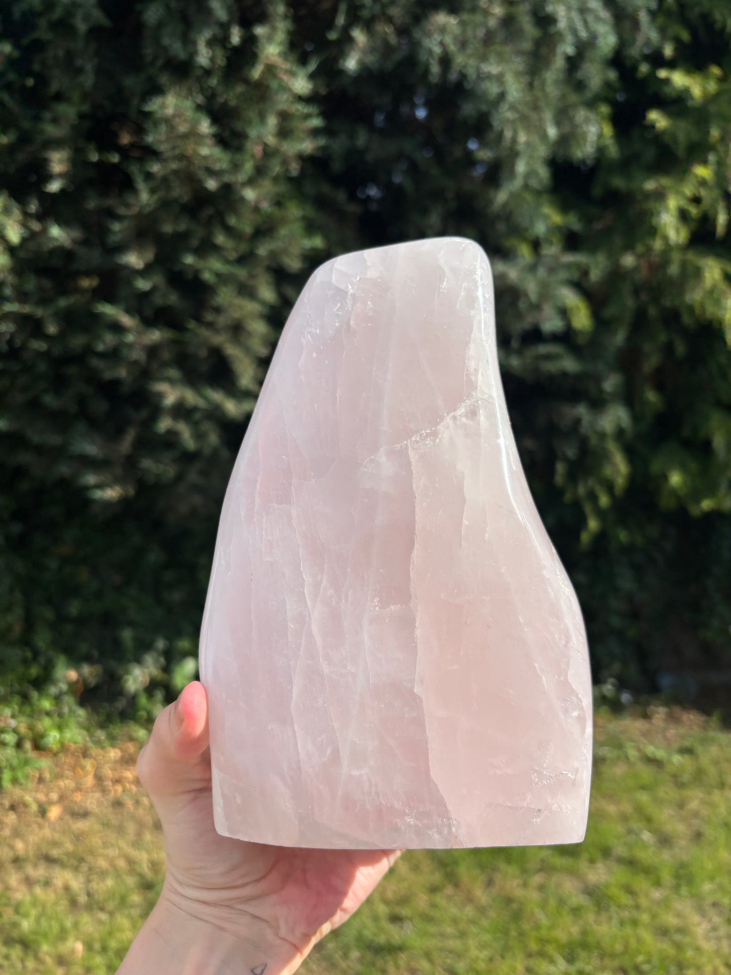 Rose Quartz cutbase Freeform