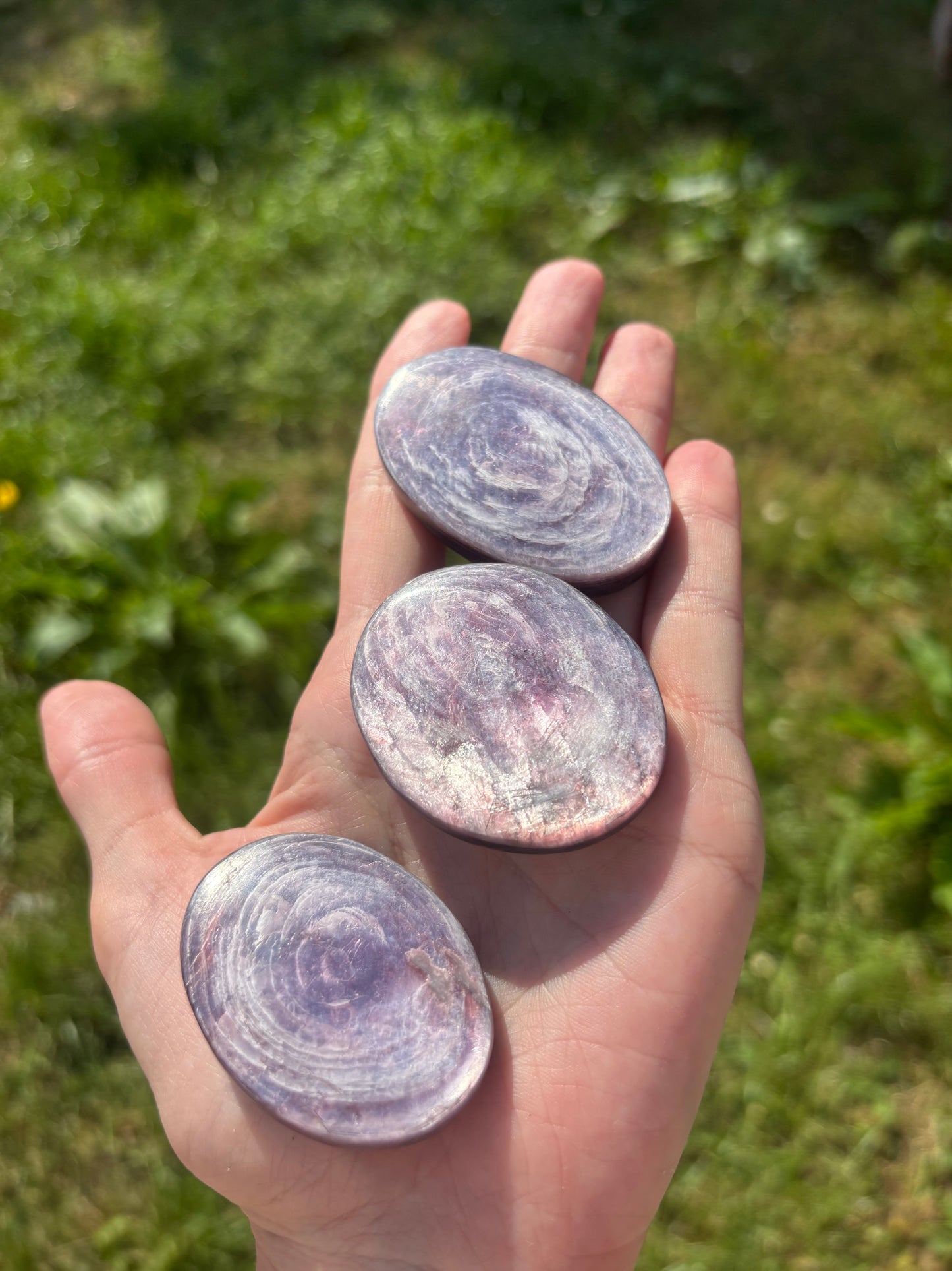 Purple mica palm