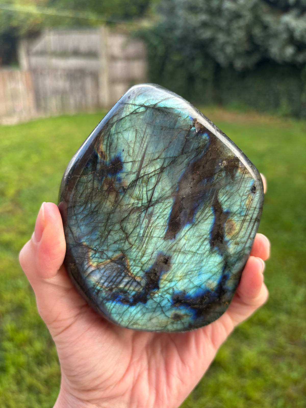 Labradorite Freeform