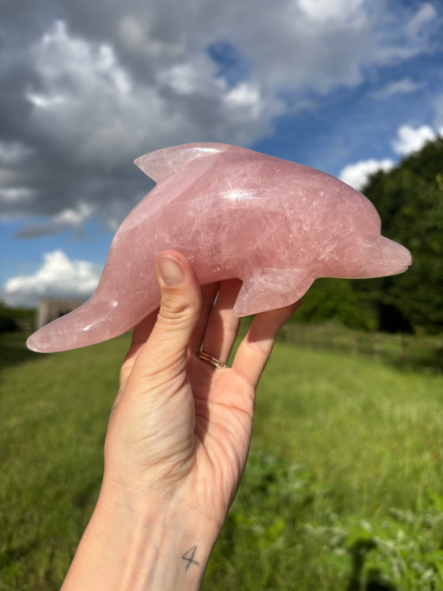 Large Rose quartz dolphin