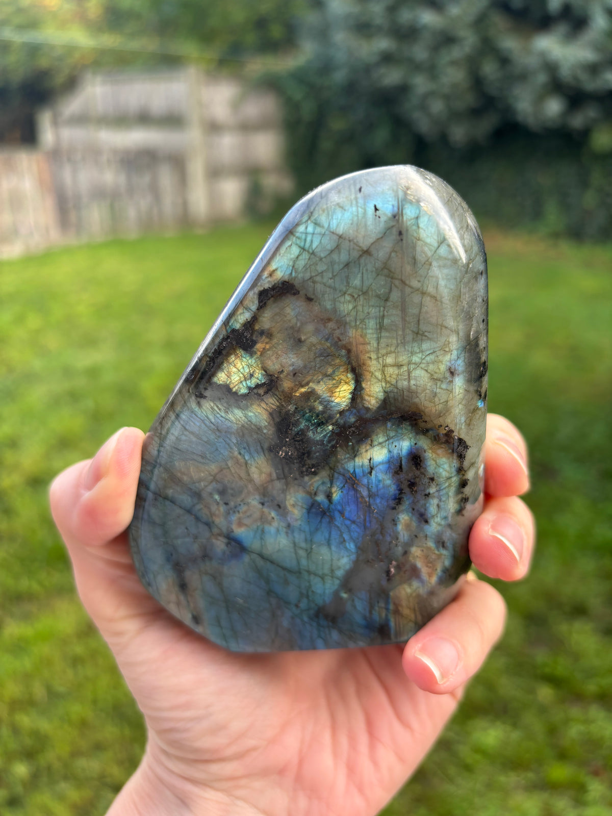 Labradorite Freeform