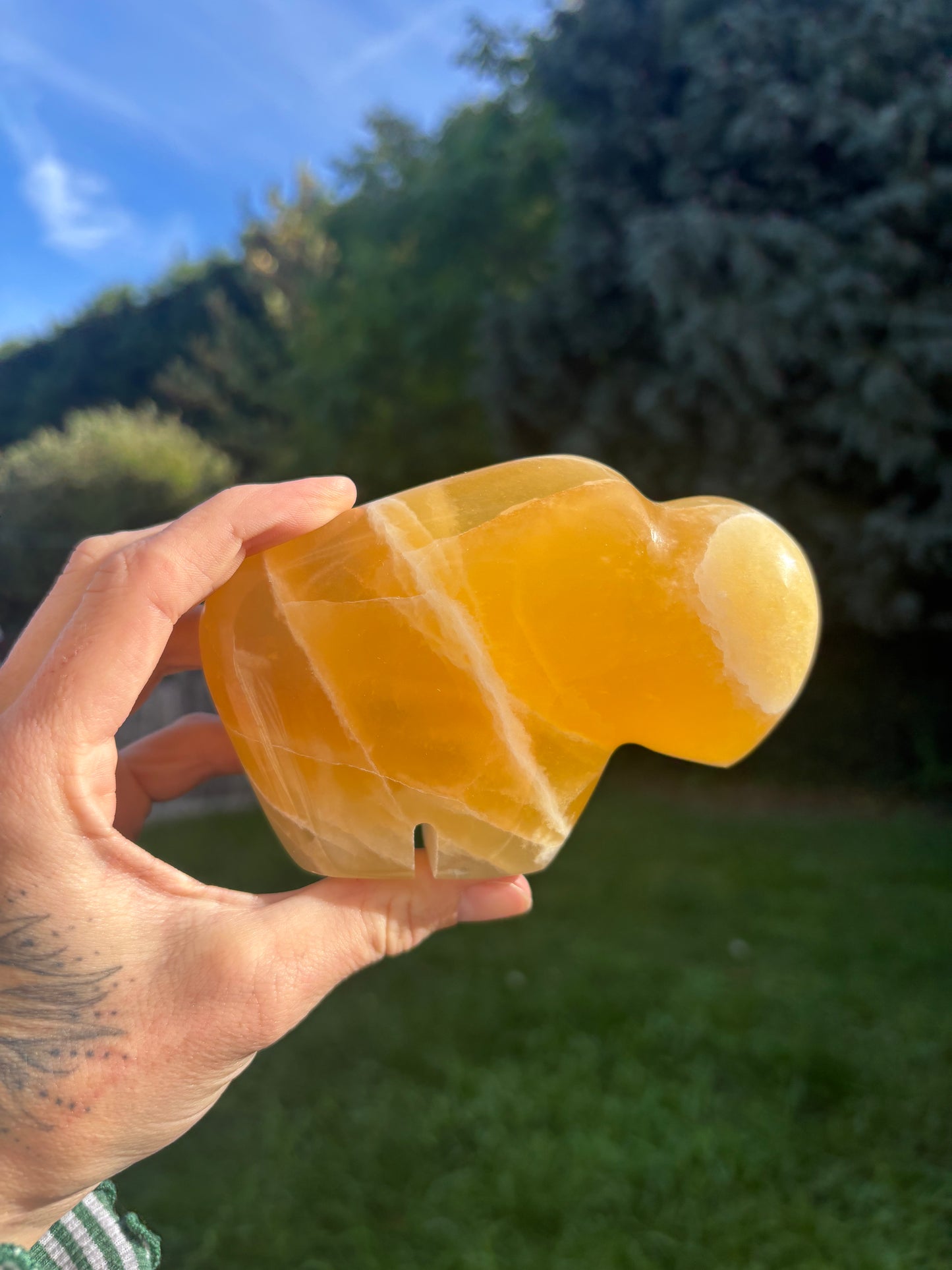 Orange calcite buffalo