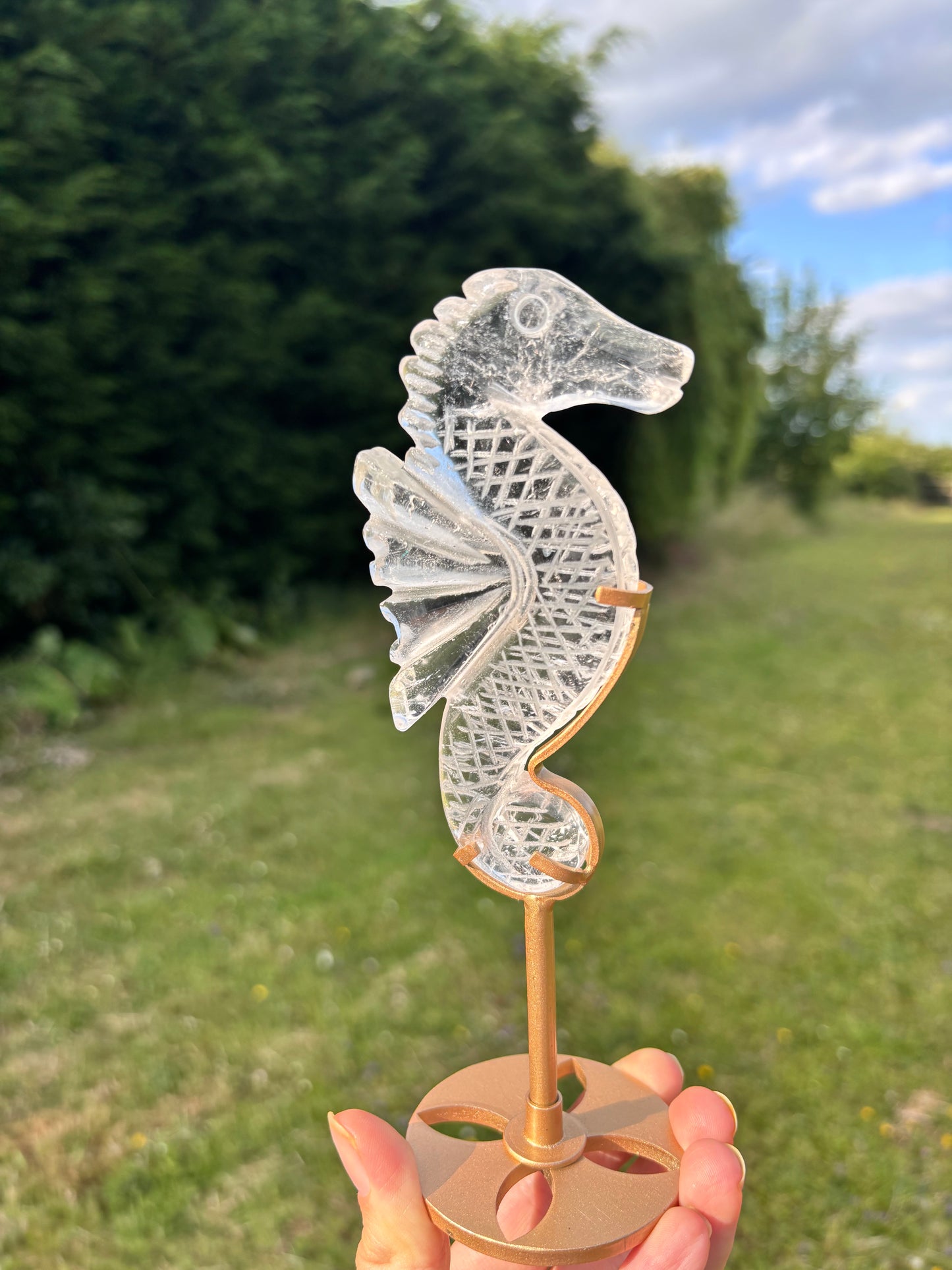 Clear Quartz Seahorse