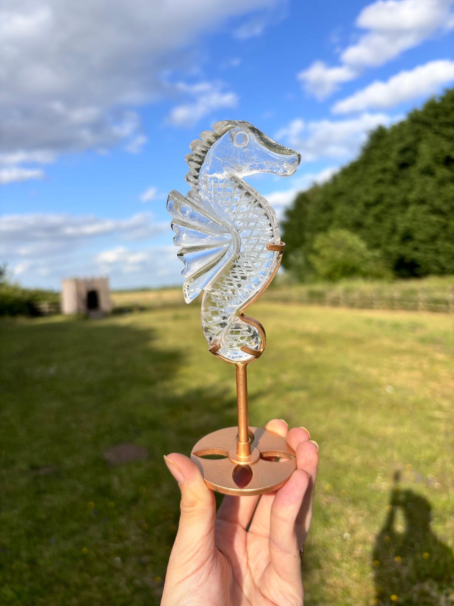 Clear Quartz Seahorse
