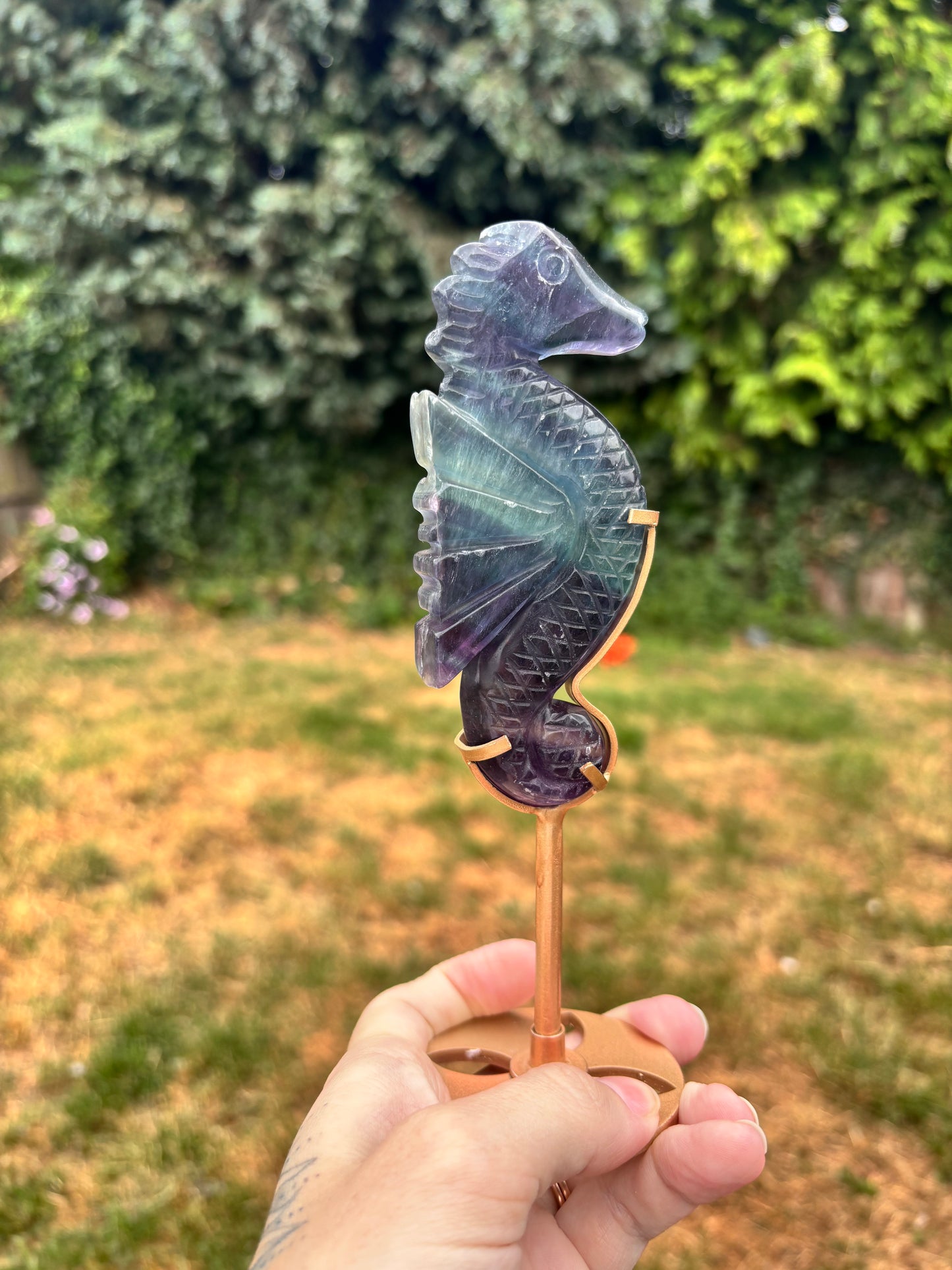 Fluorite Seahorse