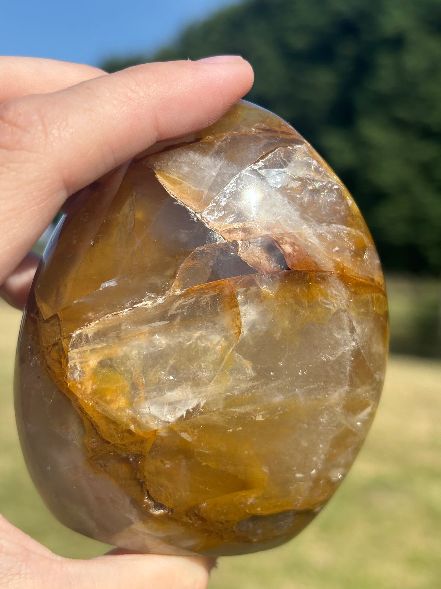 Golden healer freeform