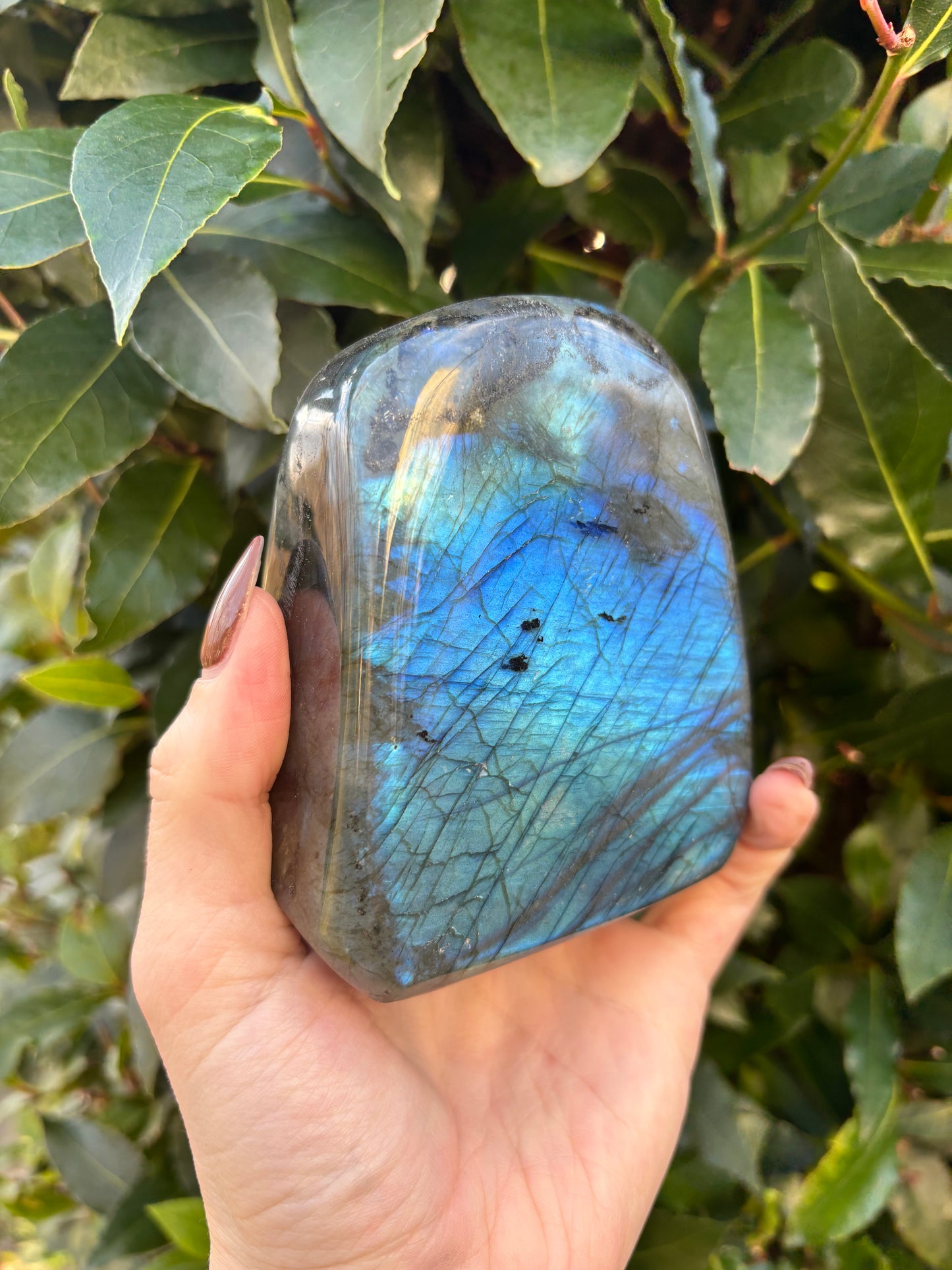 Labradorite Freeform