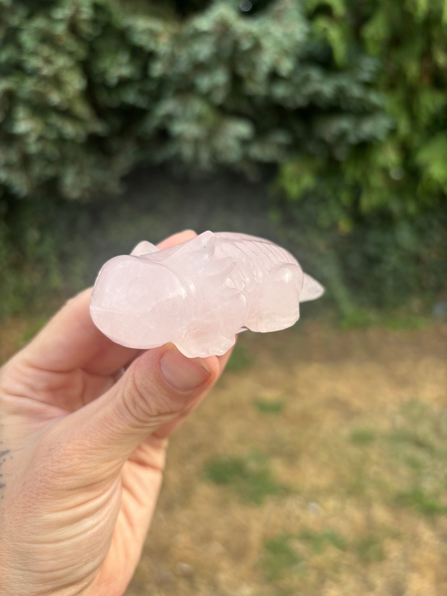 Rose quartz axolotl