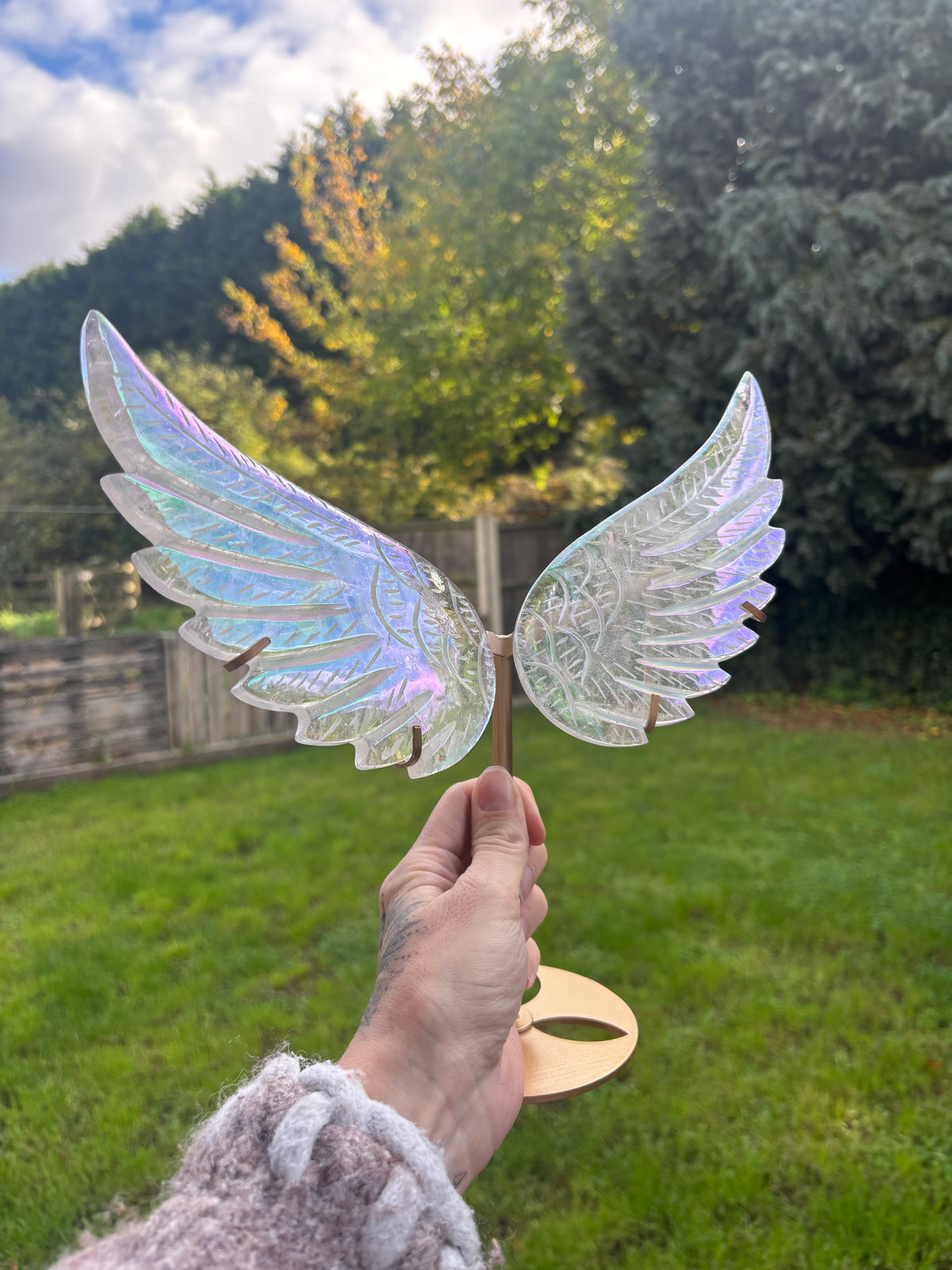 Angel aura wings large