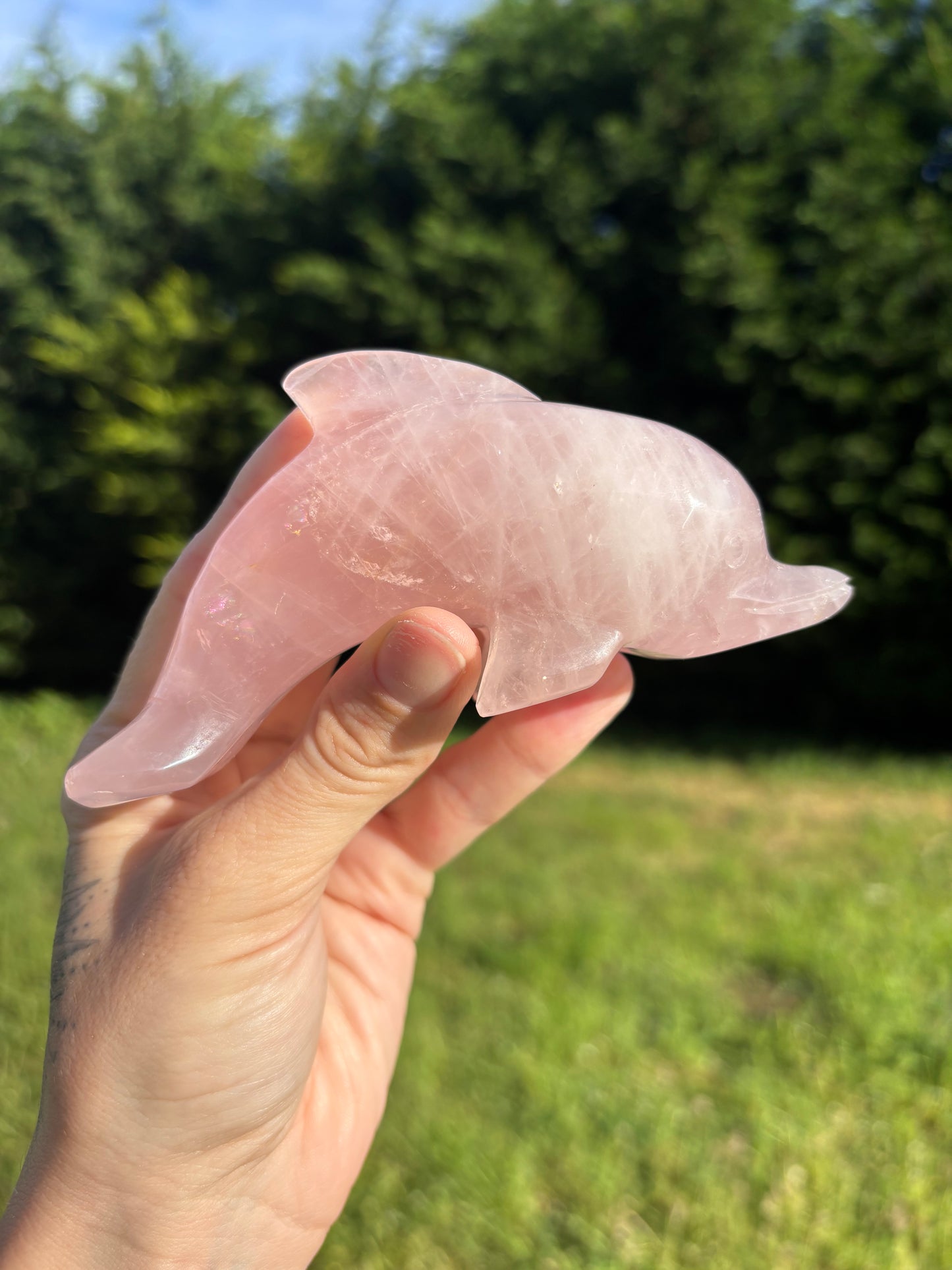 Rose quartz dolphin