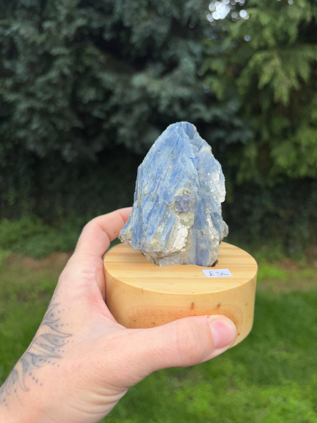Blue kyanite on stand
