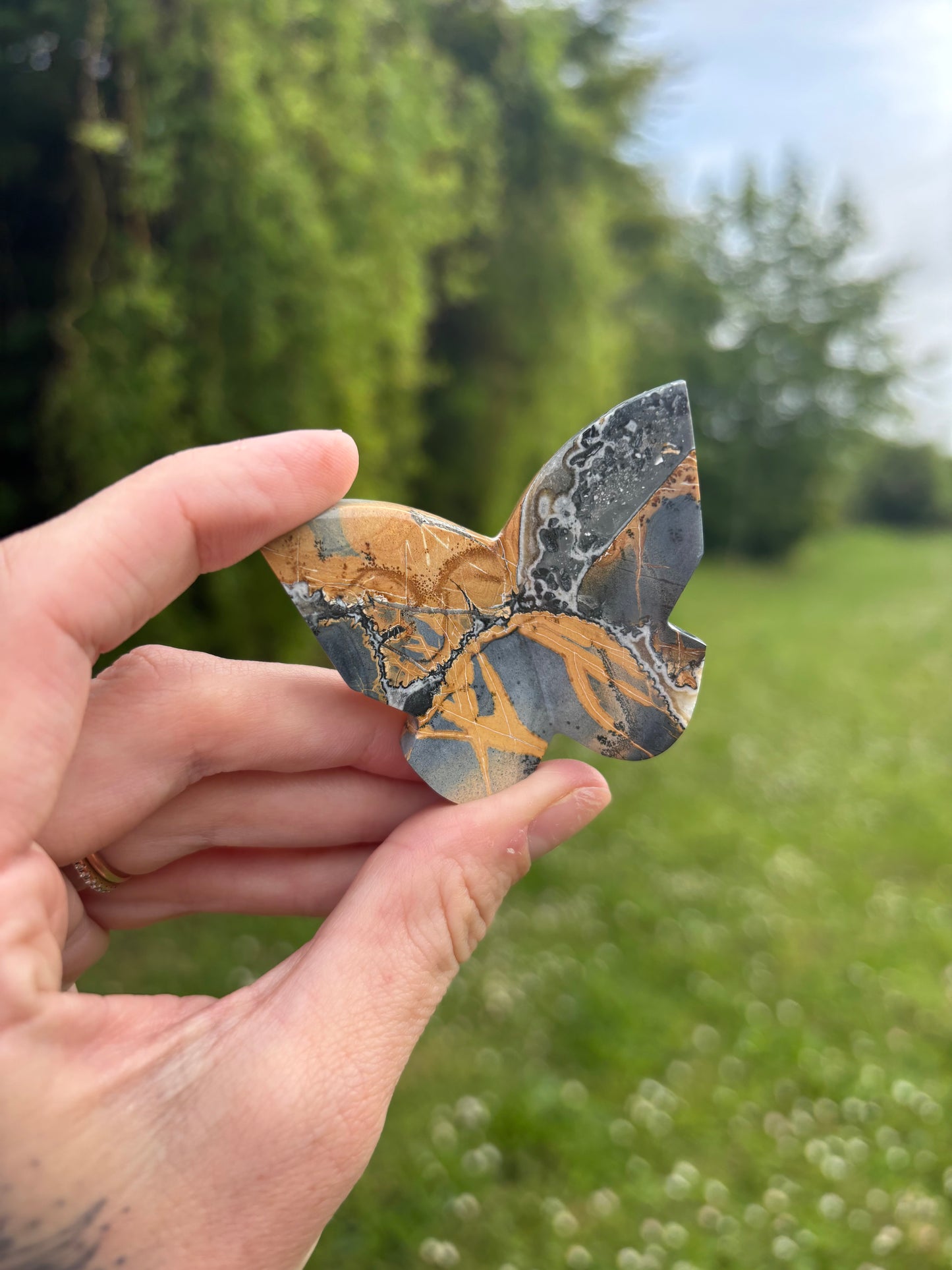 Maligano Jasper 3D butterfly