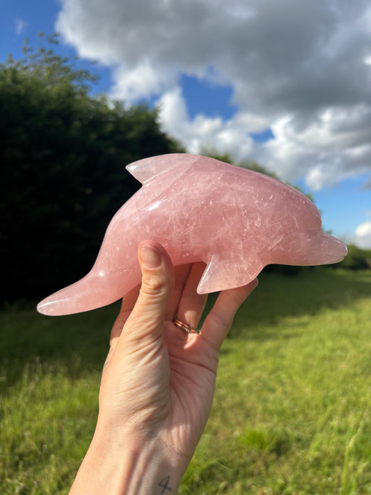 Large Rose quartz dolphin