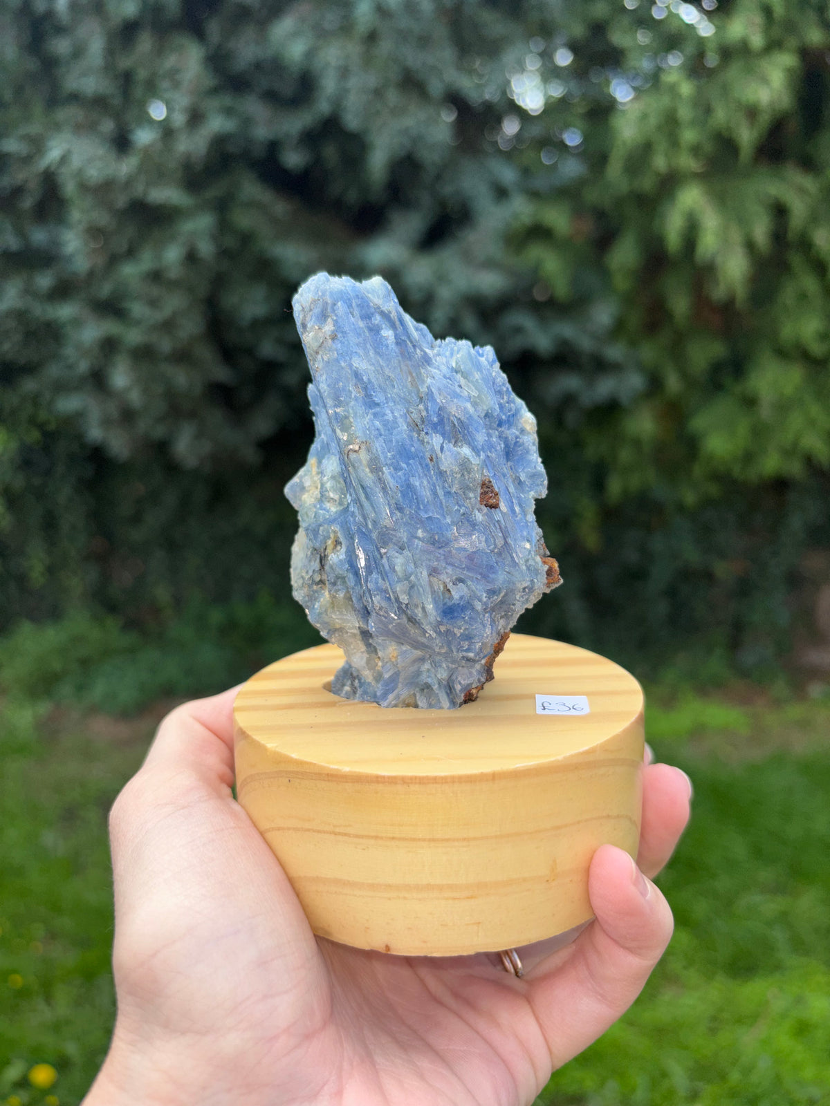 Blue kyanite on stand