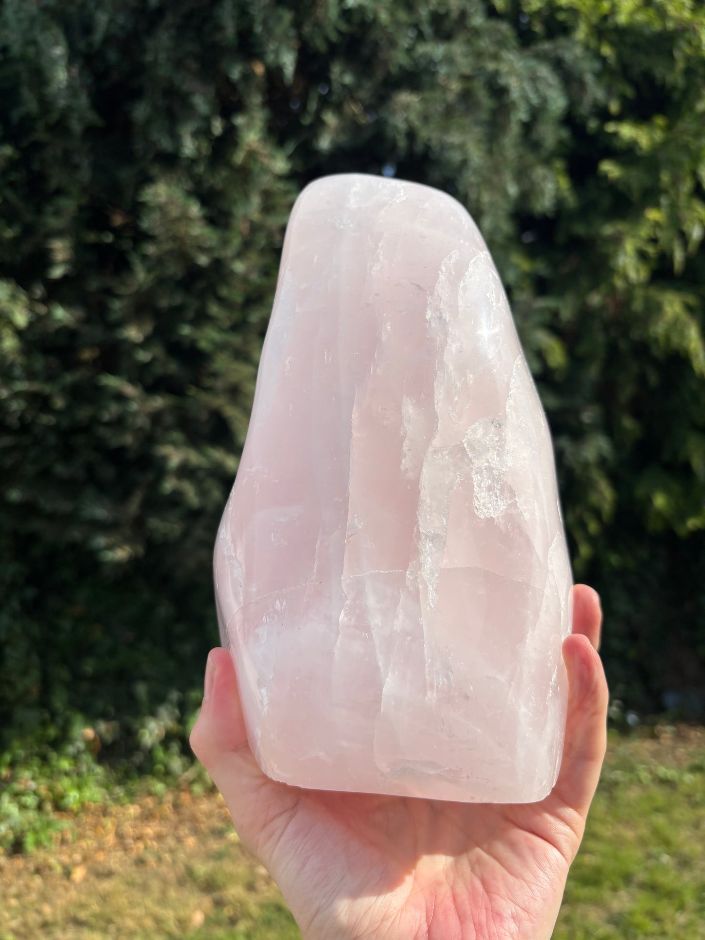Rose Quartz cutbase Freeform