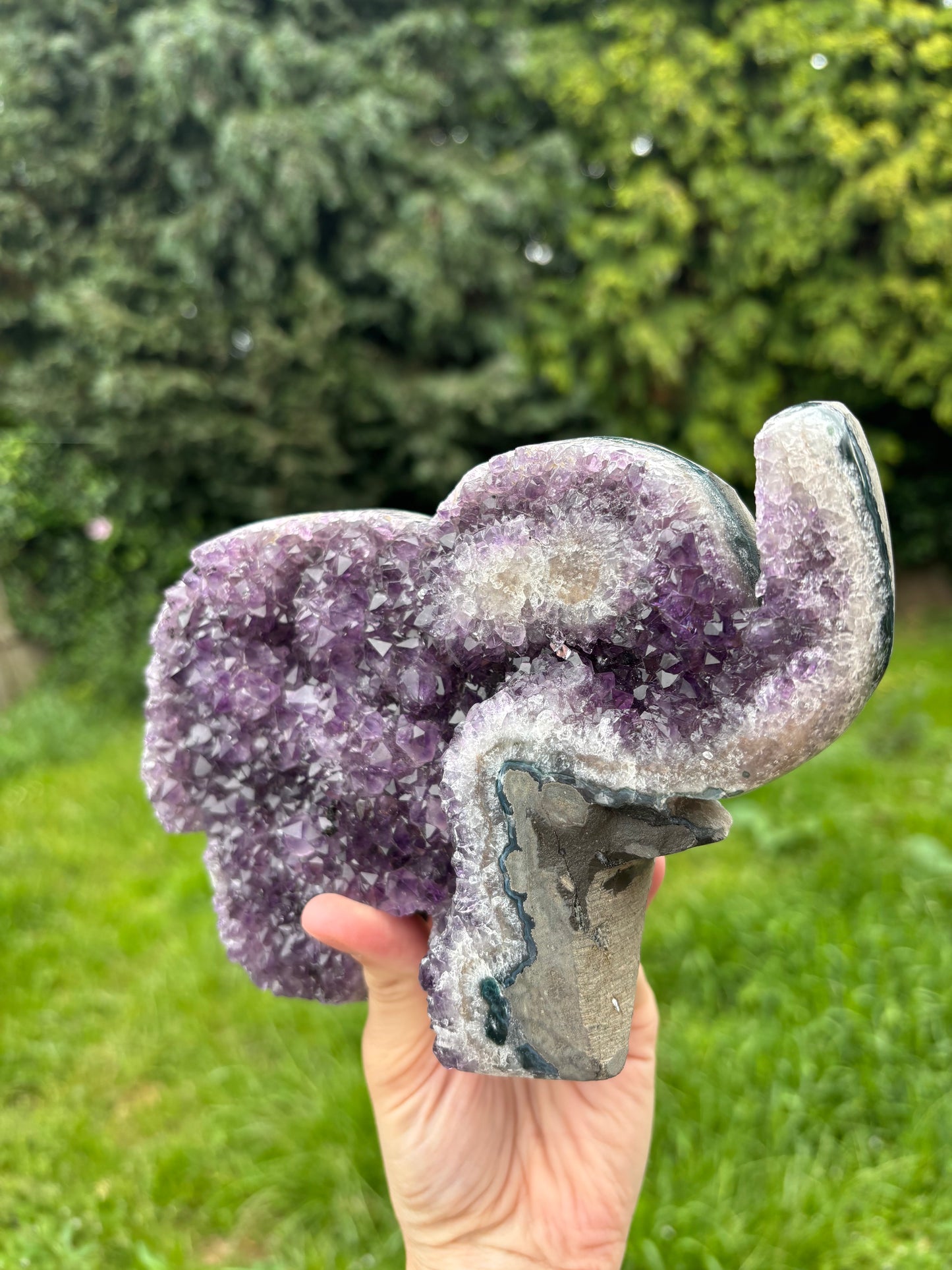 Elephant standing Amethyst