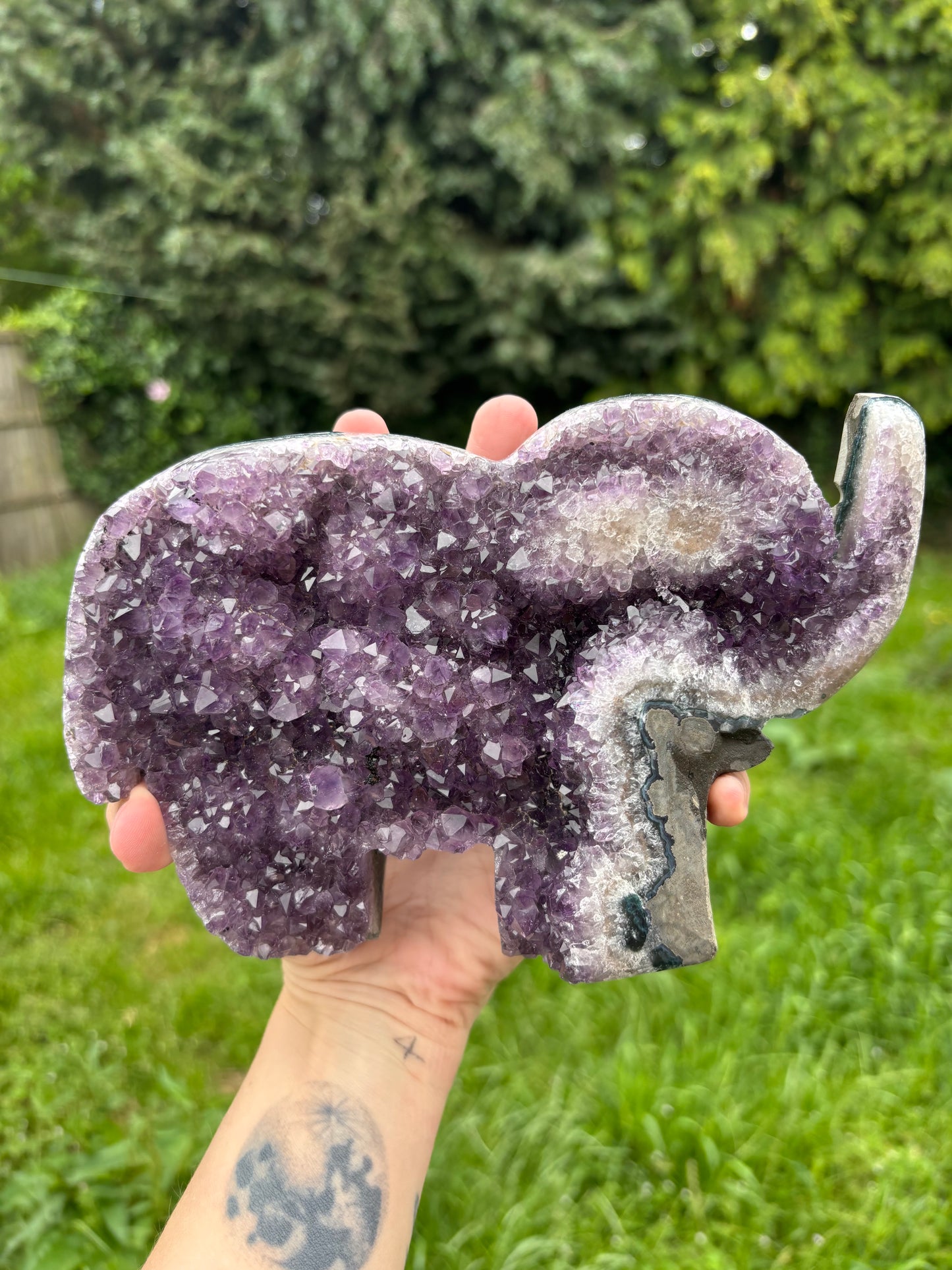 Elephant standing Amethyst
