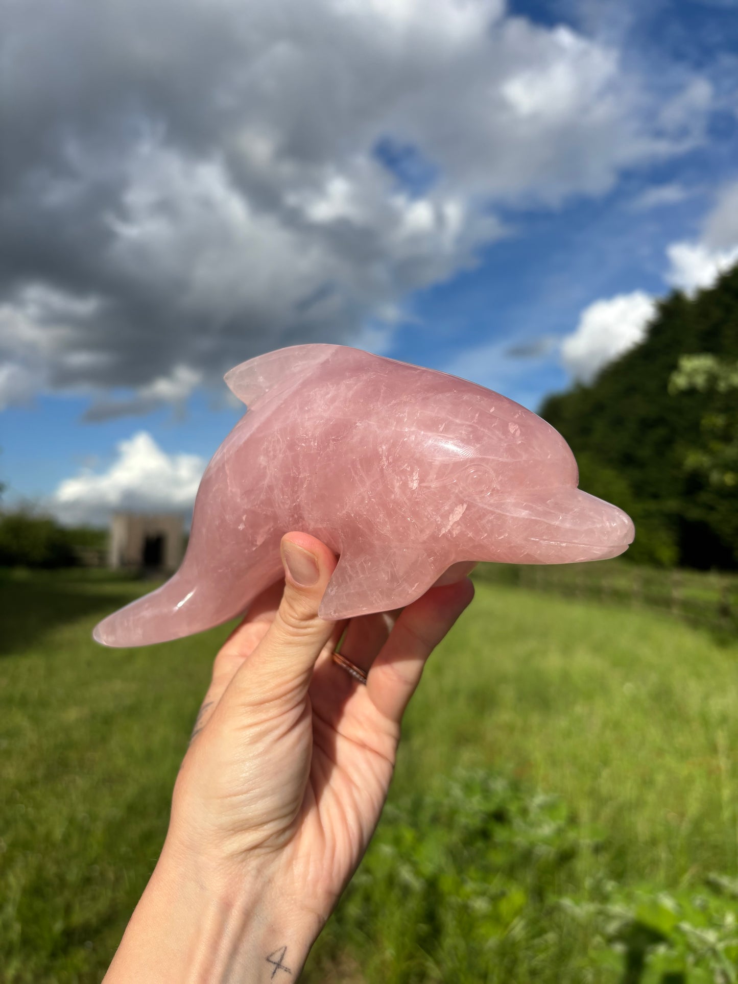 Large Rose quartz dolphin