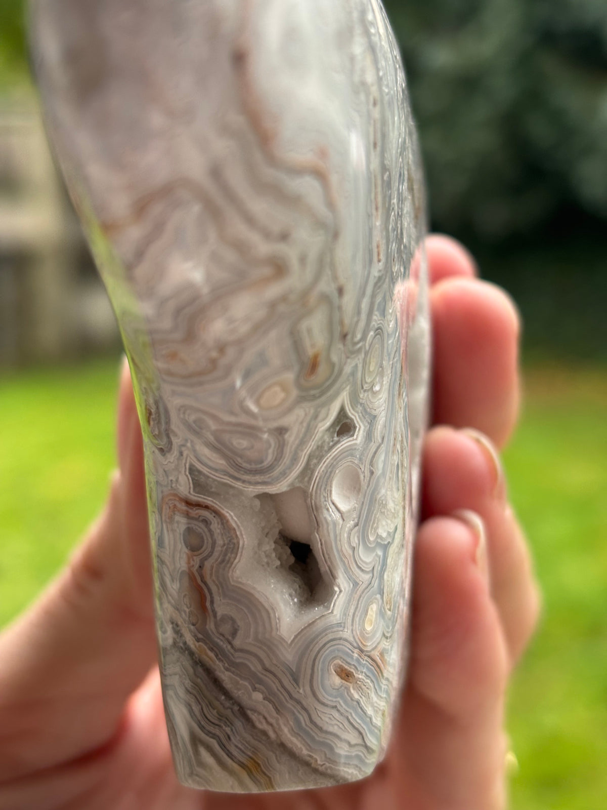 Mexican lace agate Zuni bear