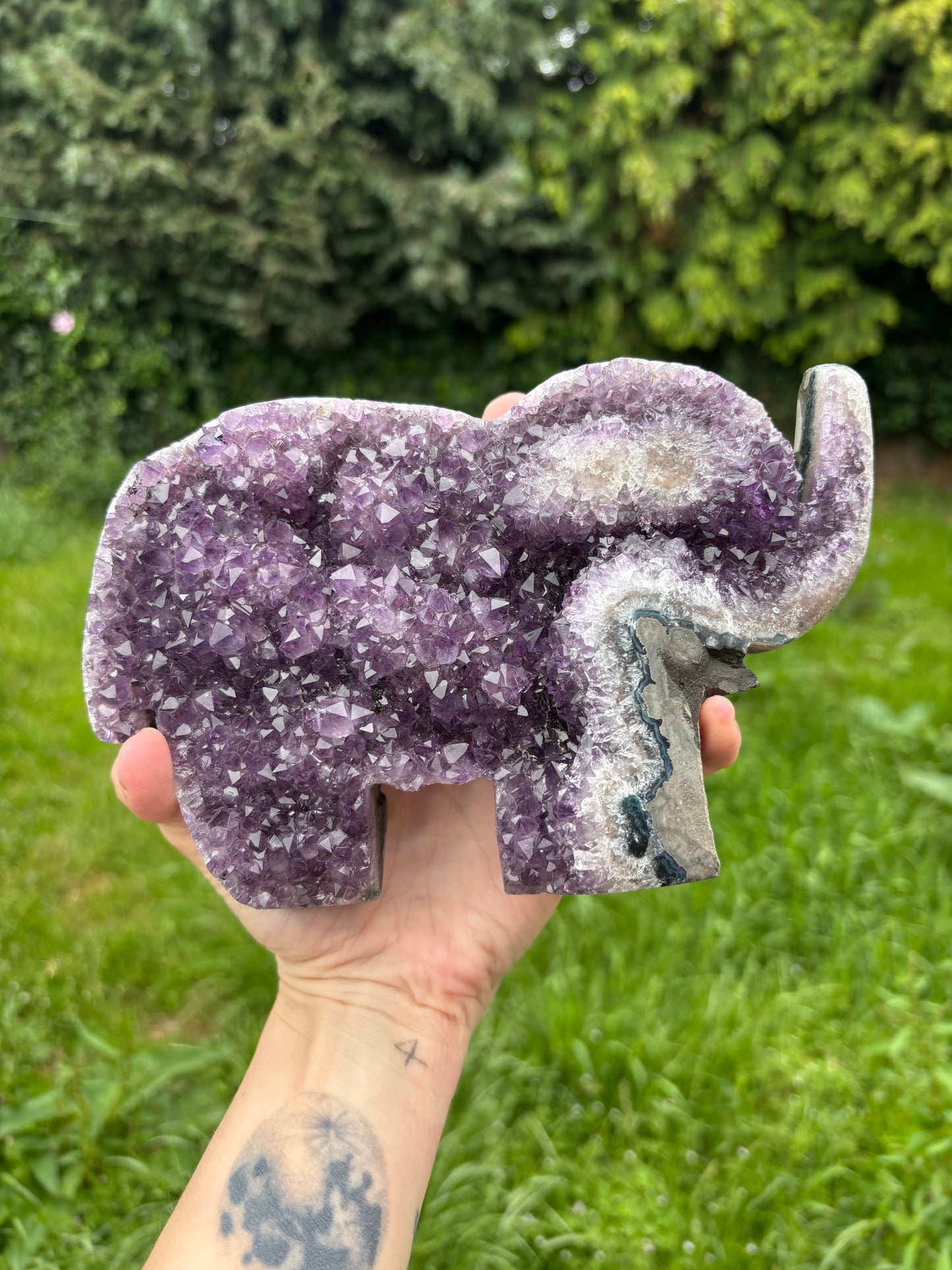 Elephant standing Amethyst