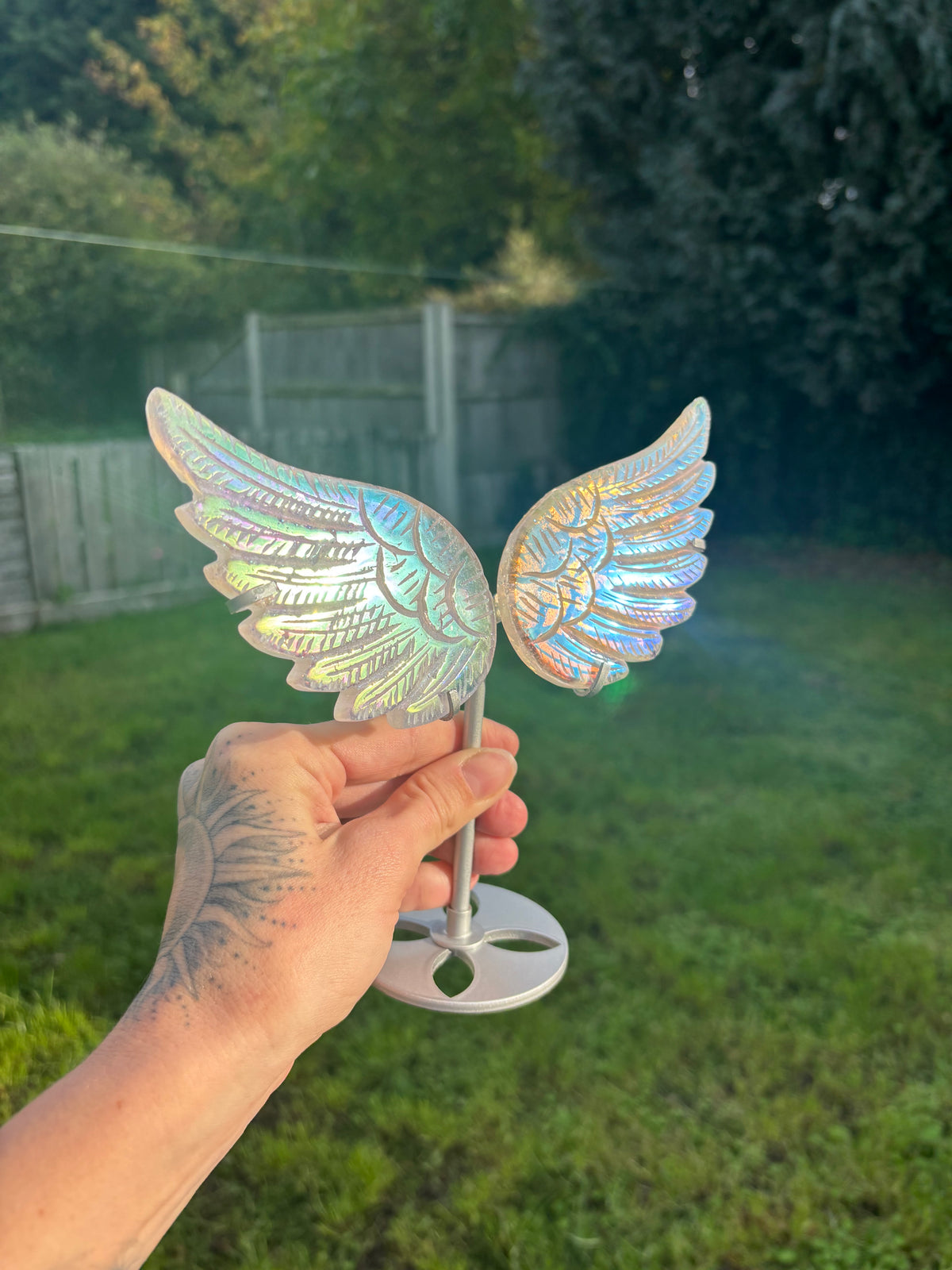 Angel aura wings