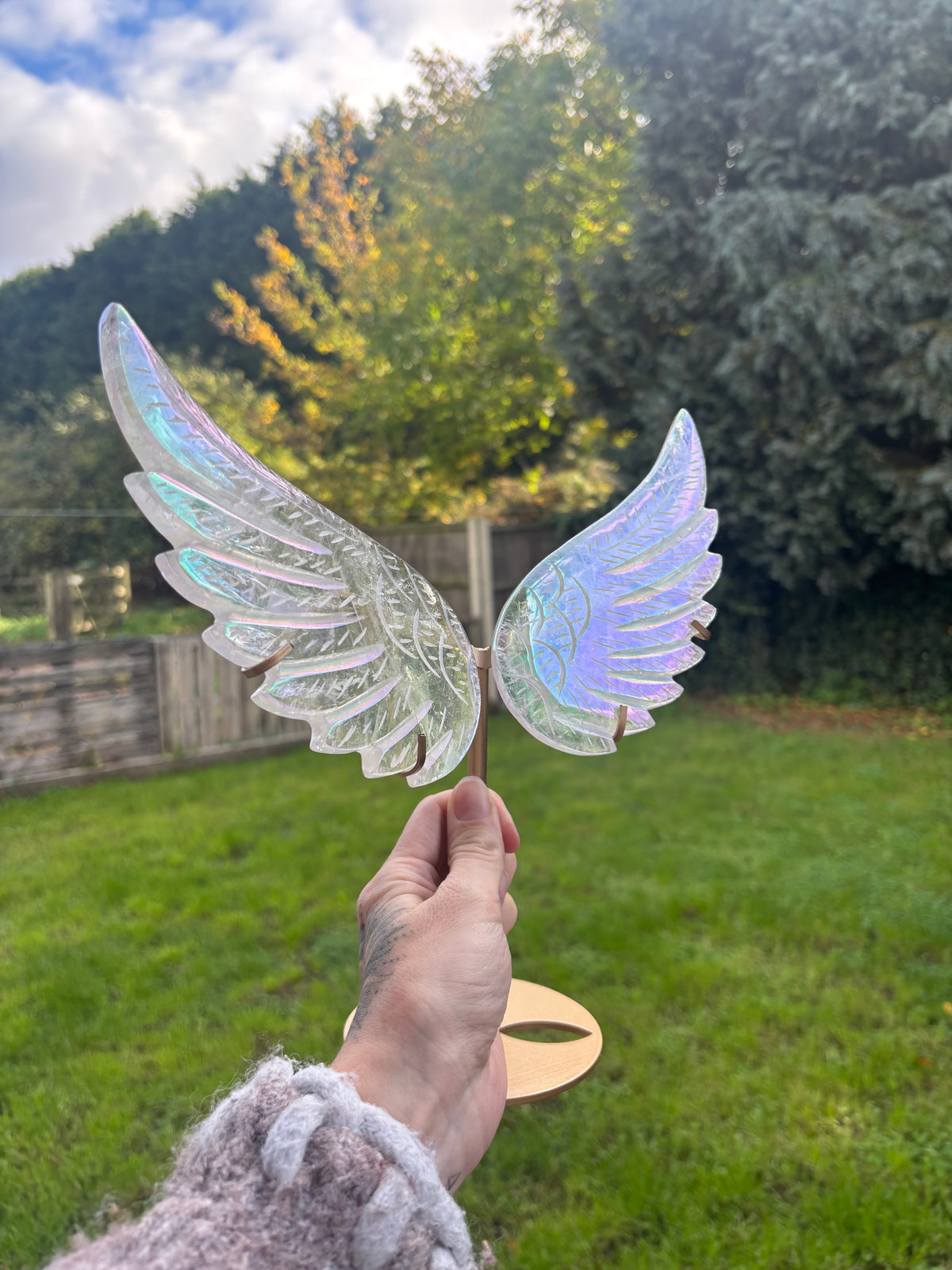 Angel aura wings large