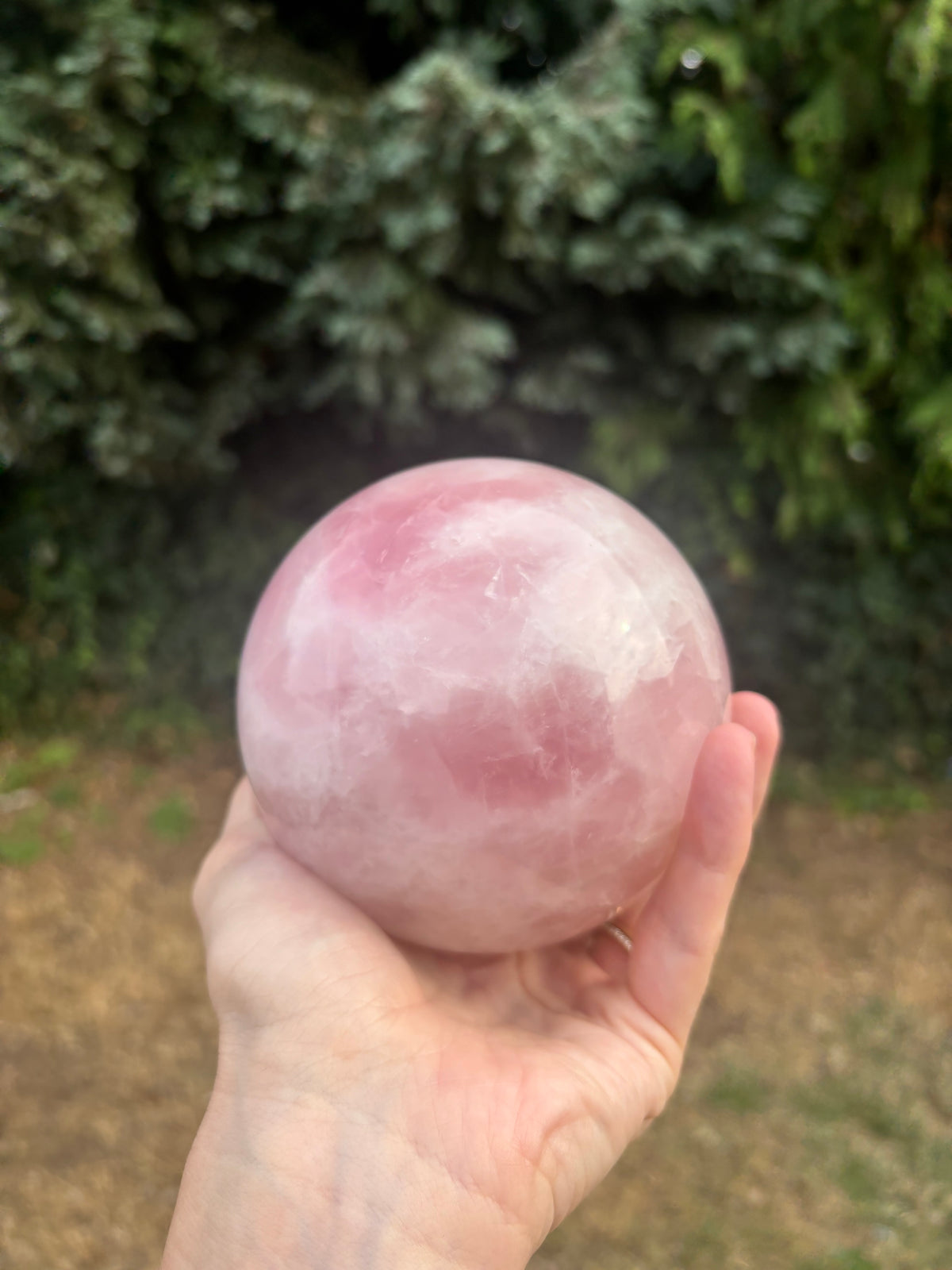 Large Rose quartz sphere