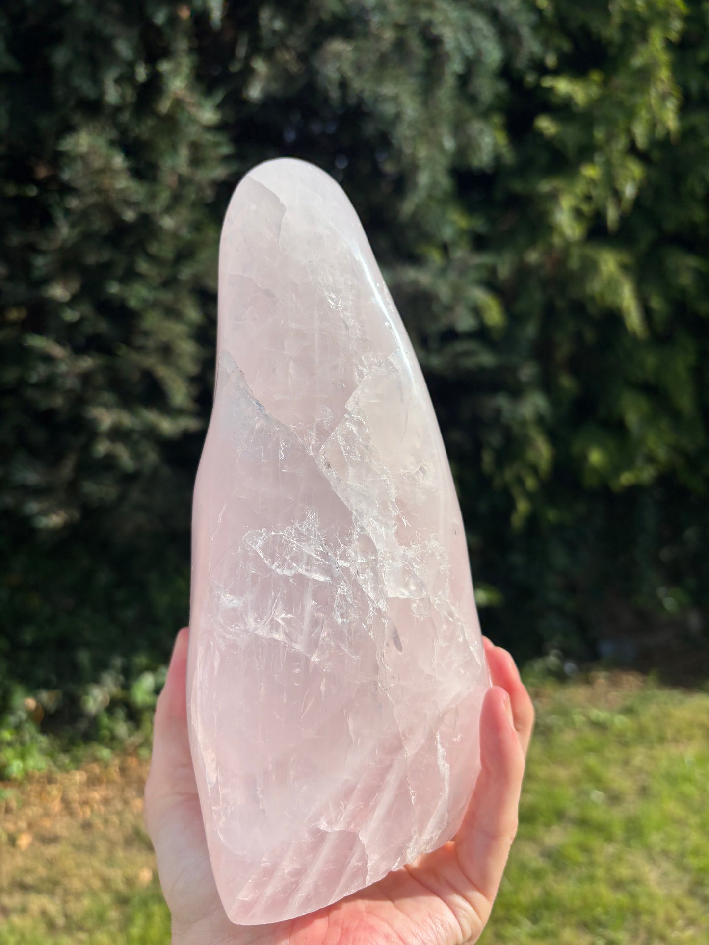Rose Quartz cutbase Freeform