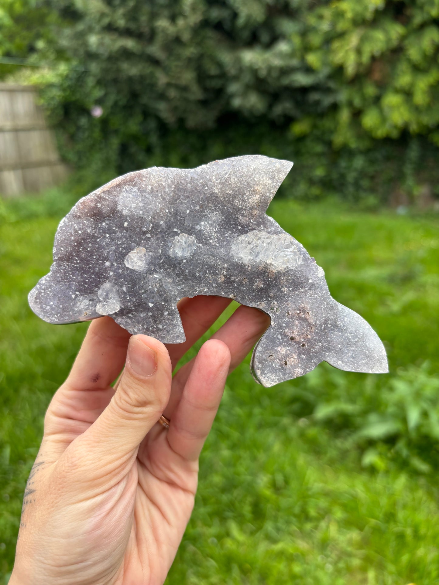 Dolphin Amethyst on stand