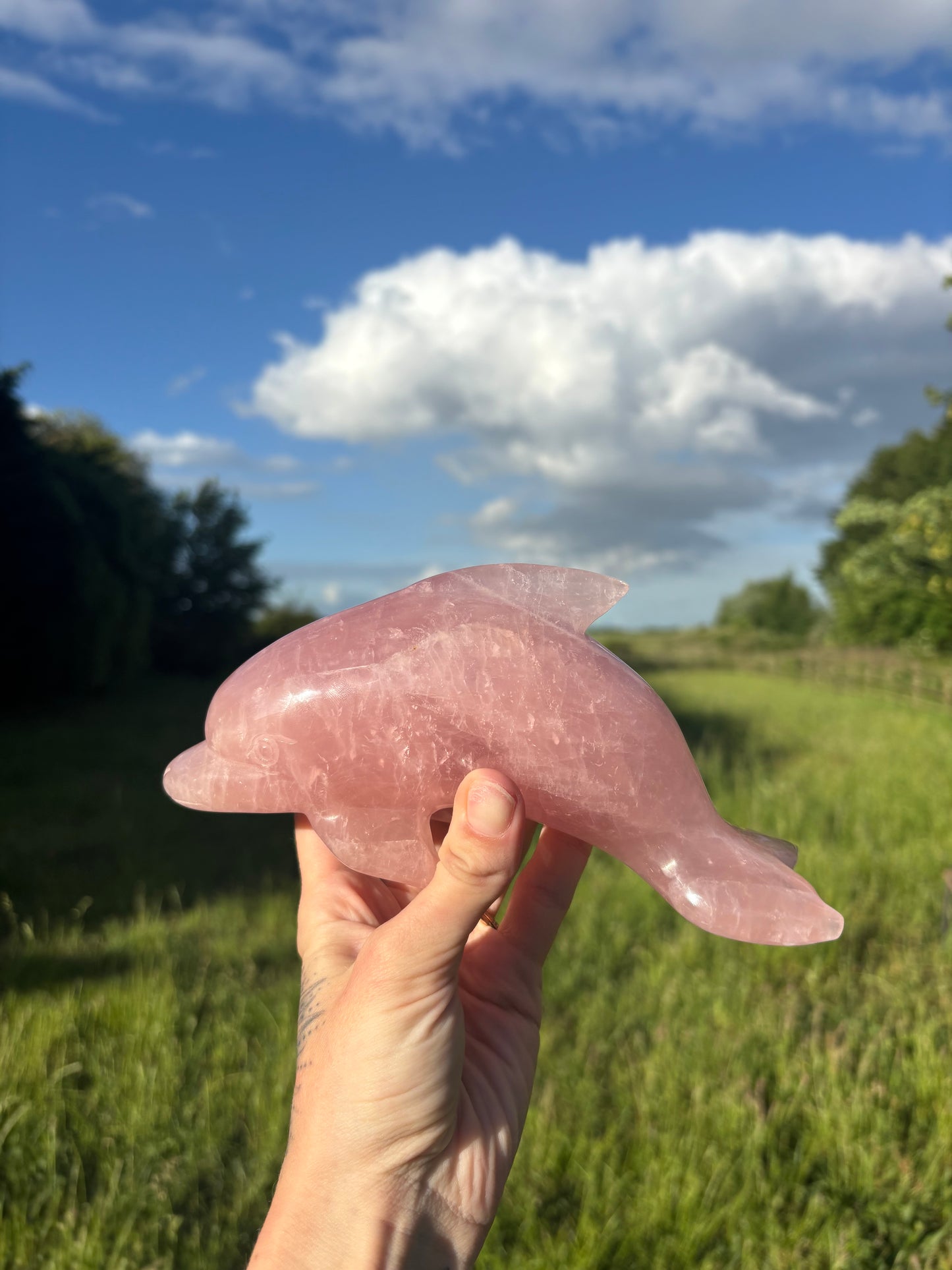 Large Rose quartz dolphin