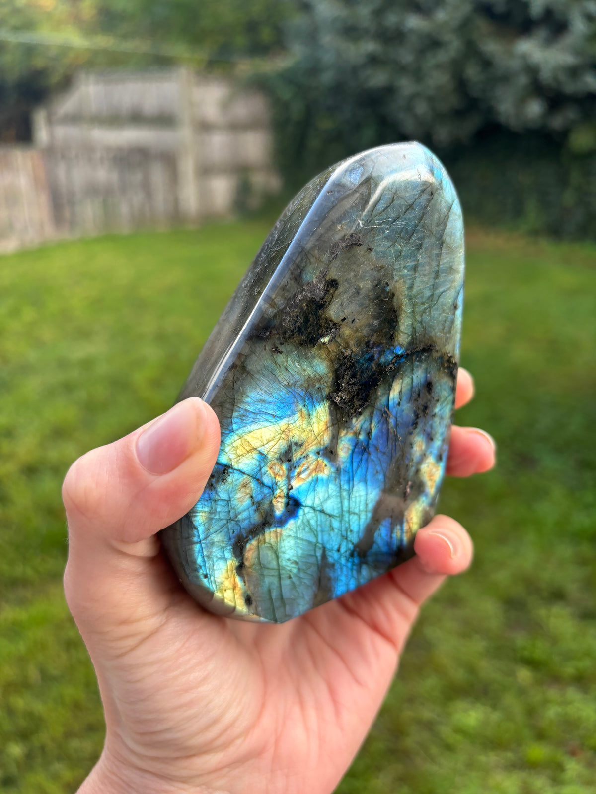 Labradorite Freeform