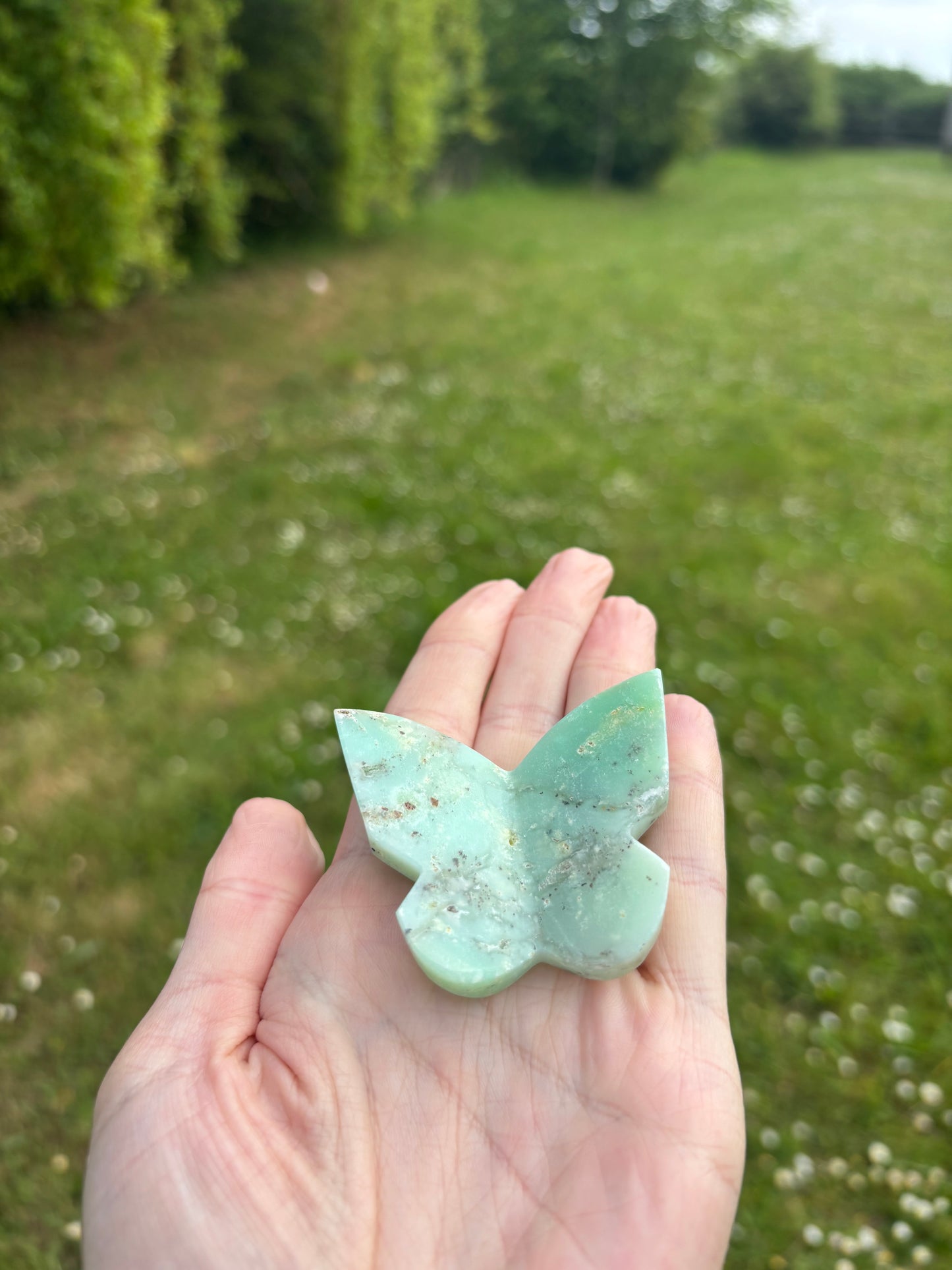 Chrysoprase 3D butterfly