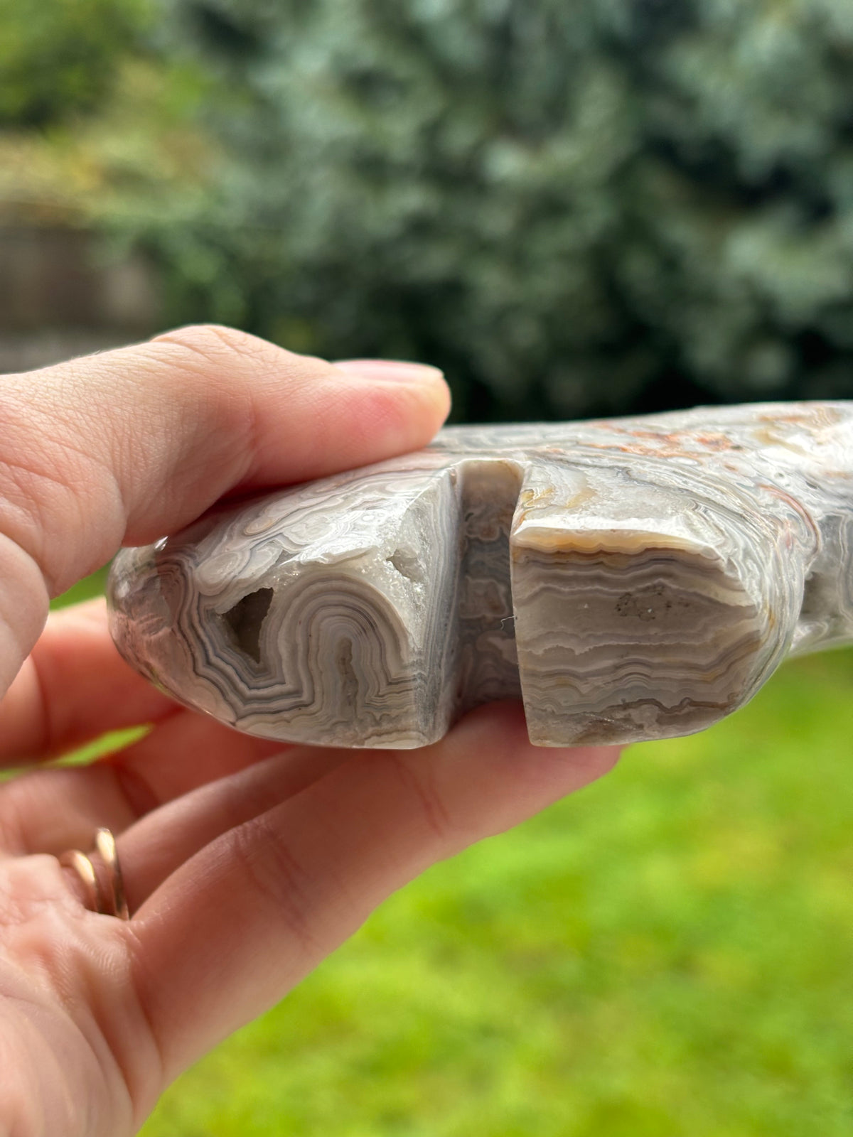 Mexican lace agate Zuni bear