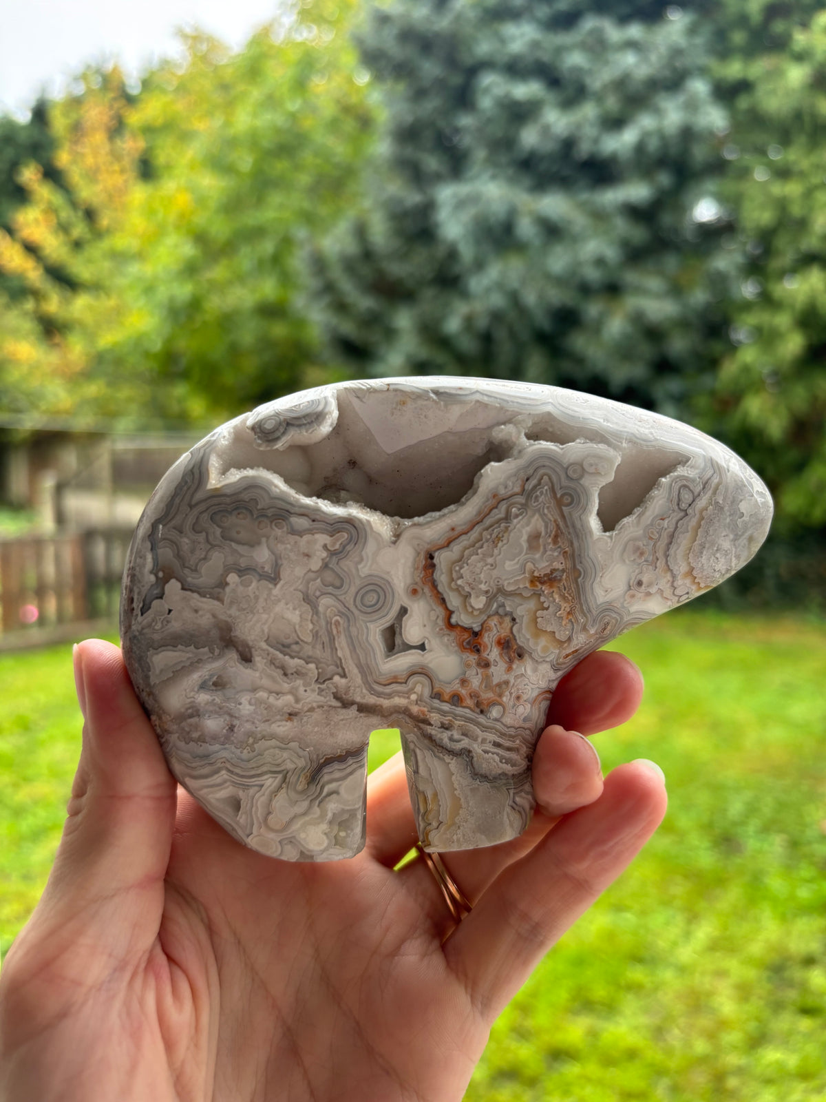 Mexican lace agate Zuni bear