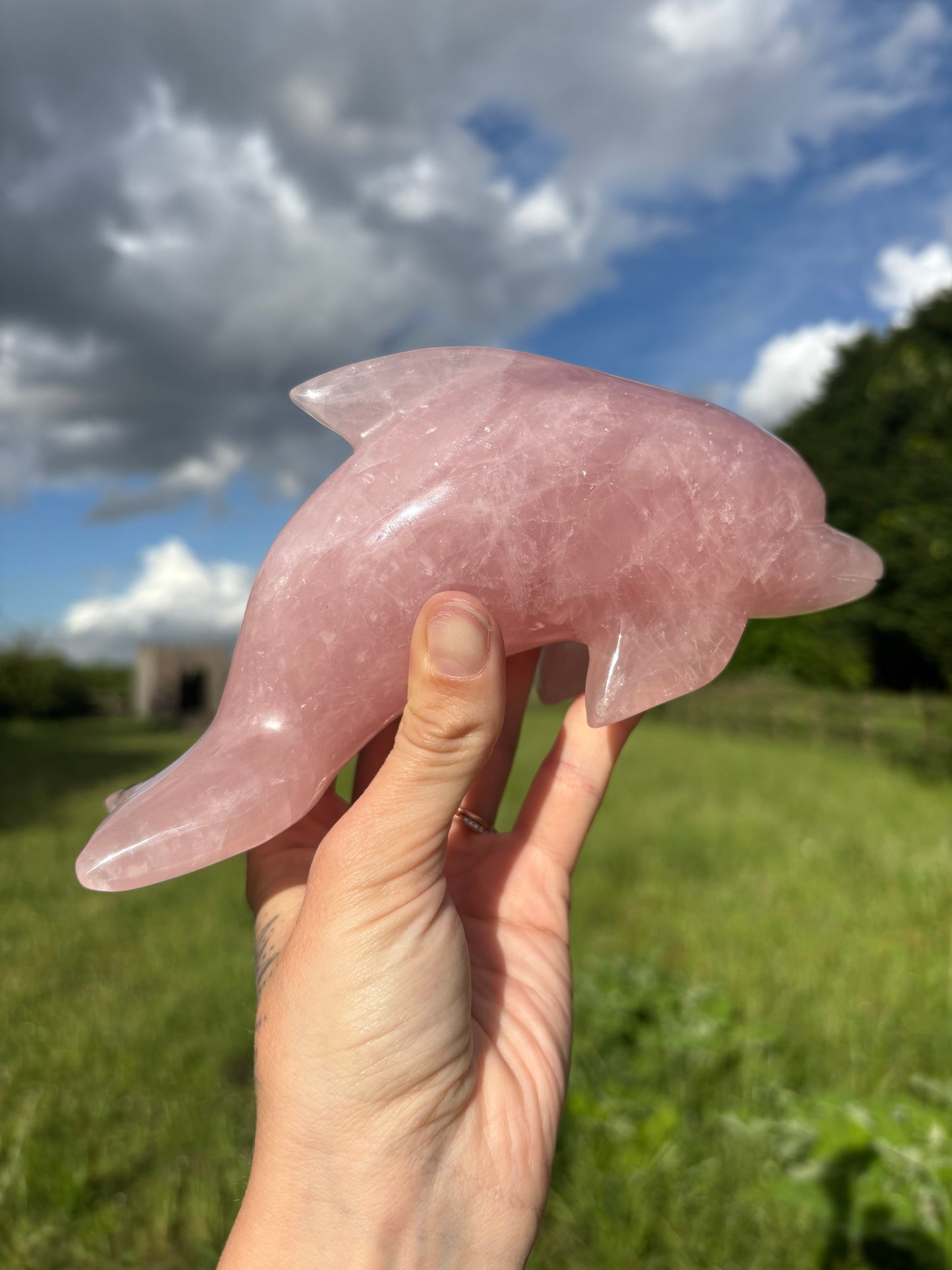 Large Rose quartz dolphin