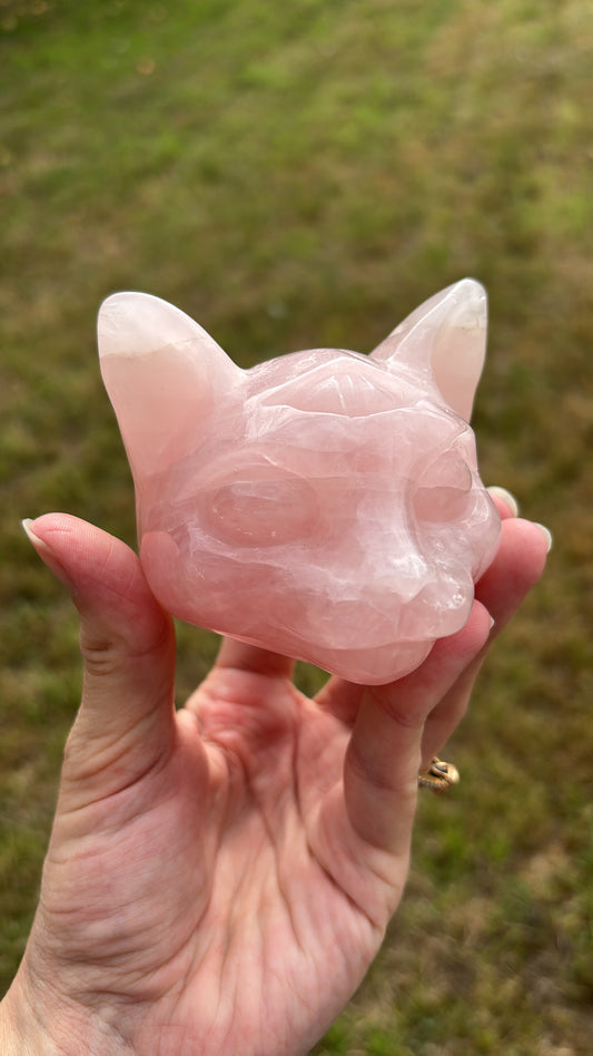 Rose quartz third eye cat