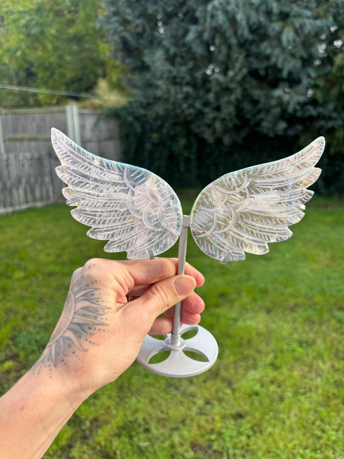 Angel aura wings