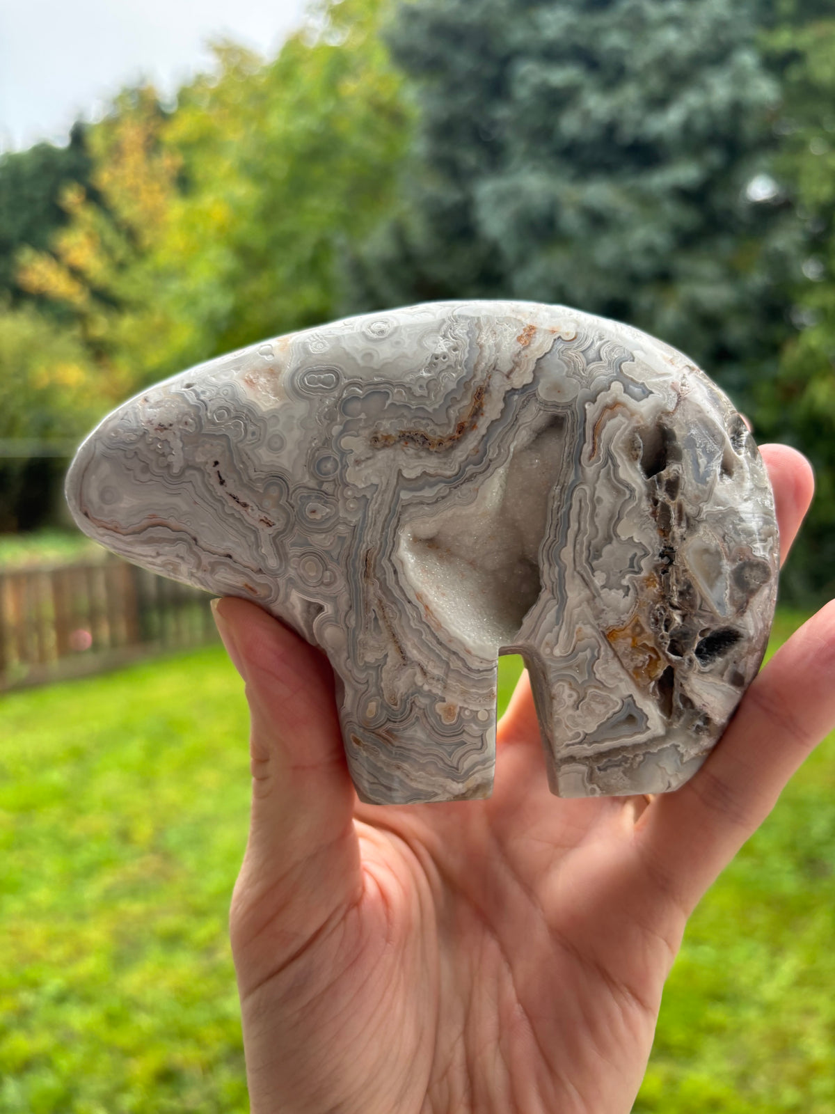 Mexican lace agate Zuni bear