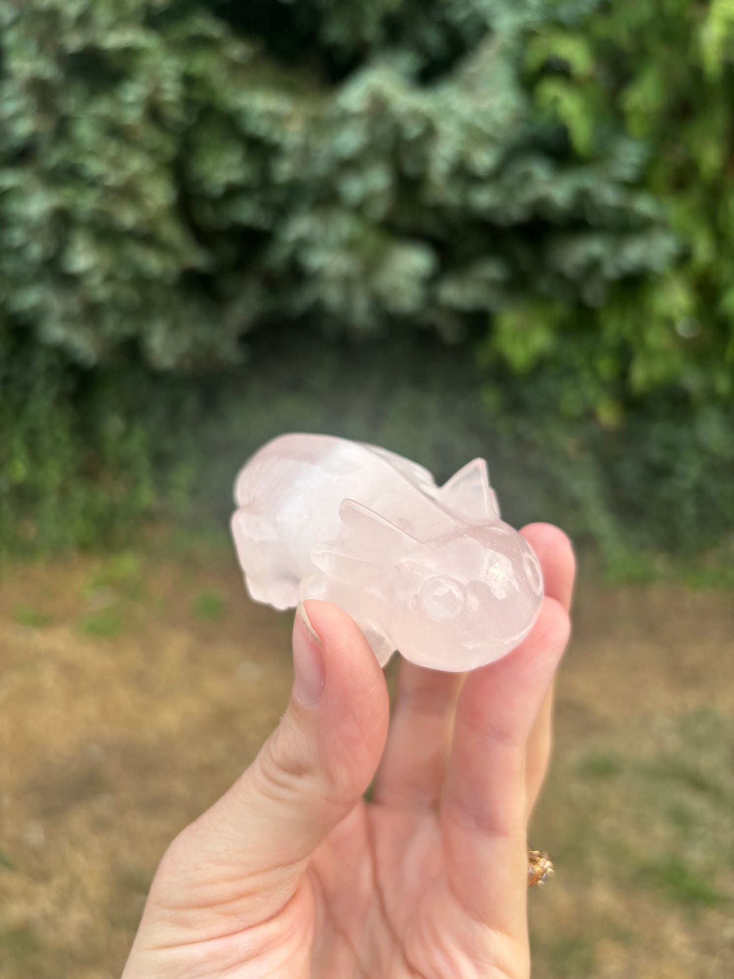 Rose quartz axolotl