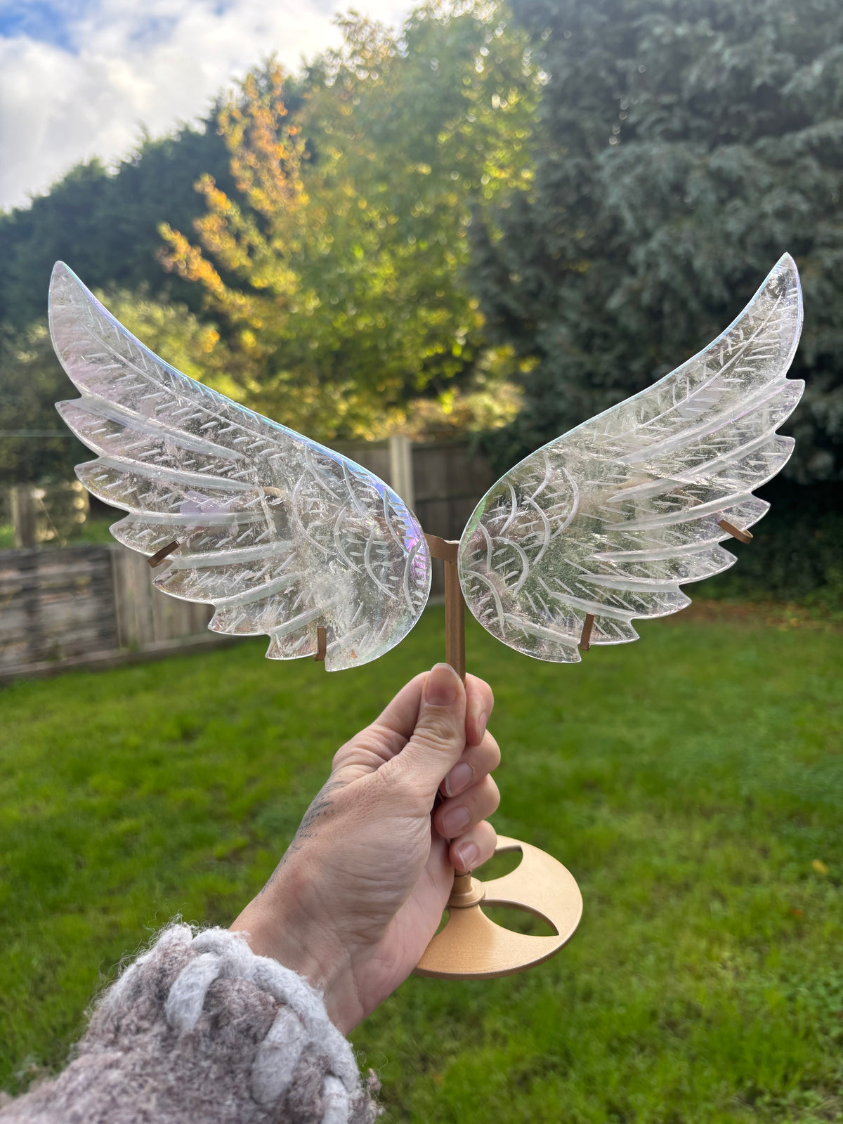 Angel aura wings large