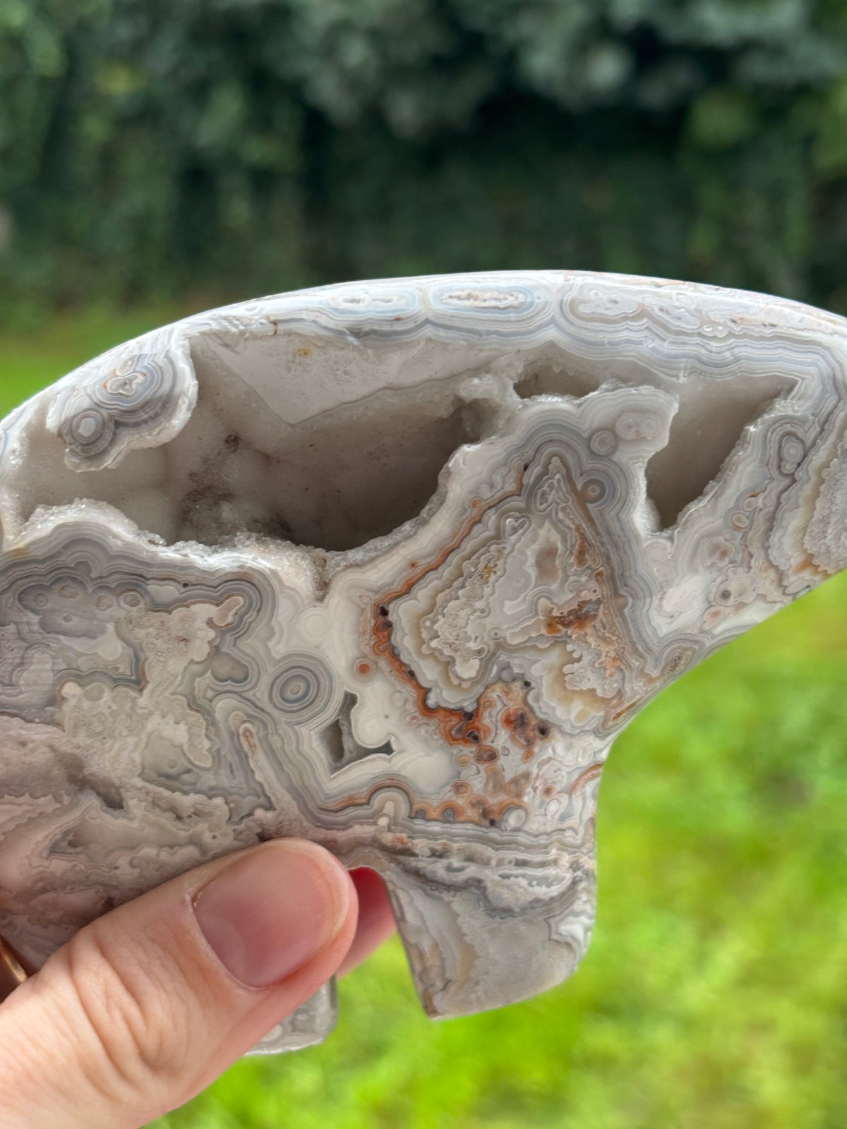 Mexican lace agate Zuni bear