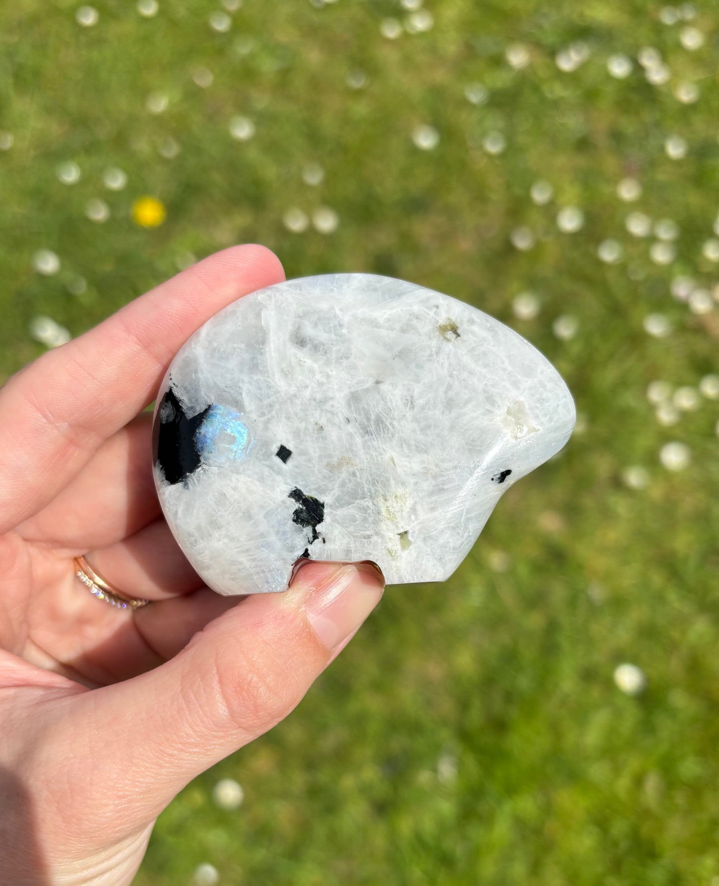 Rainbow moonstone Zuni bear