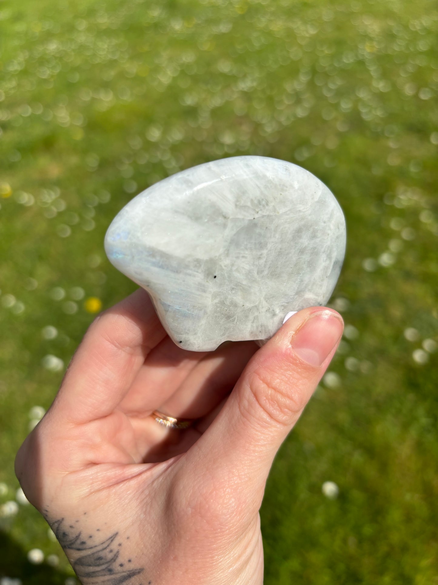 Rainbow moonstone Zuni bear