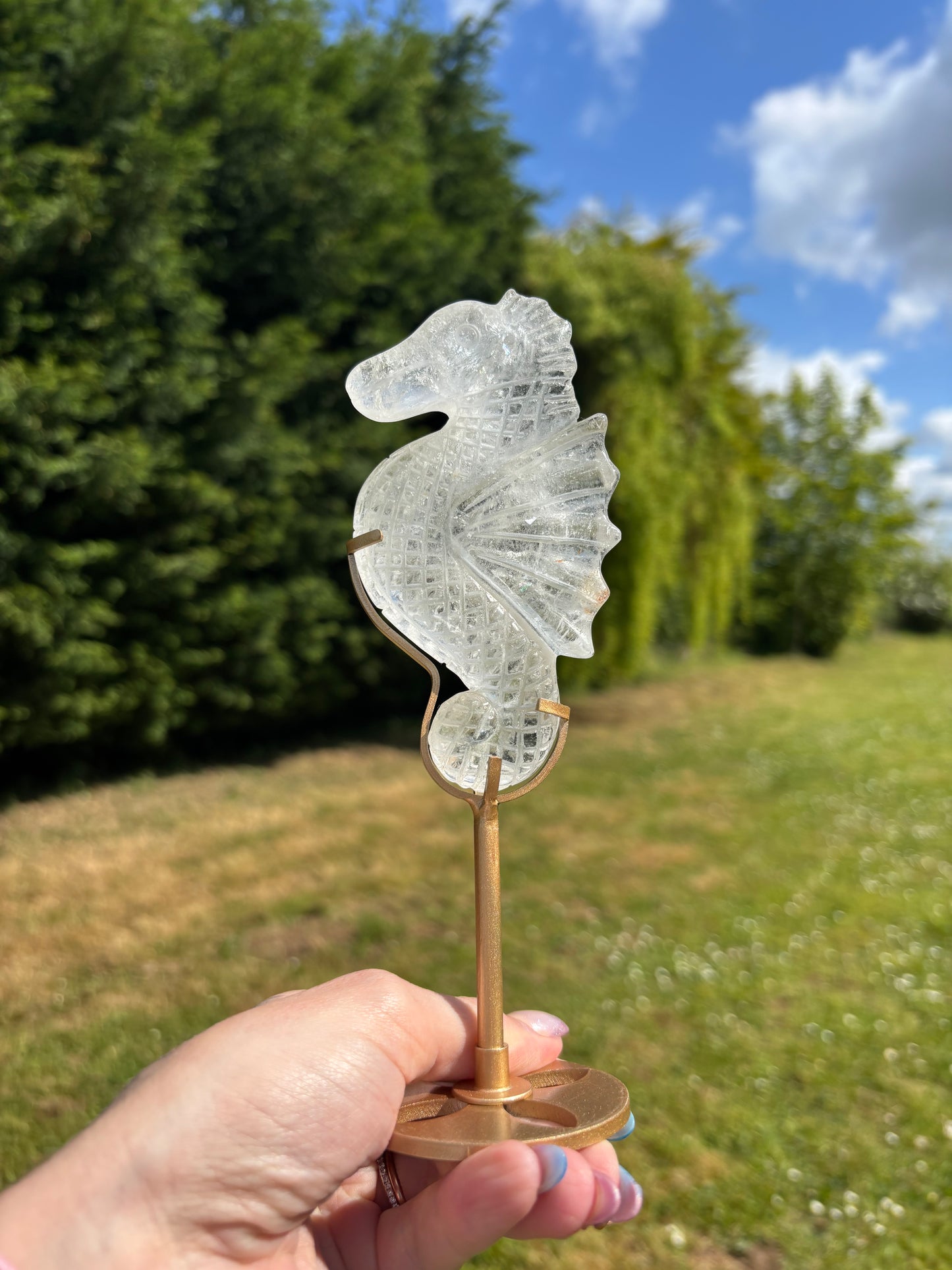 Clear quartz seahorse
