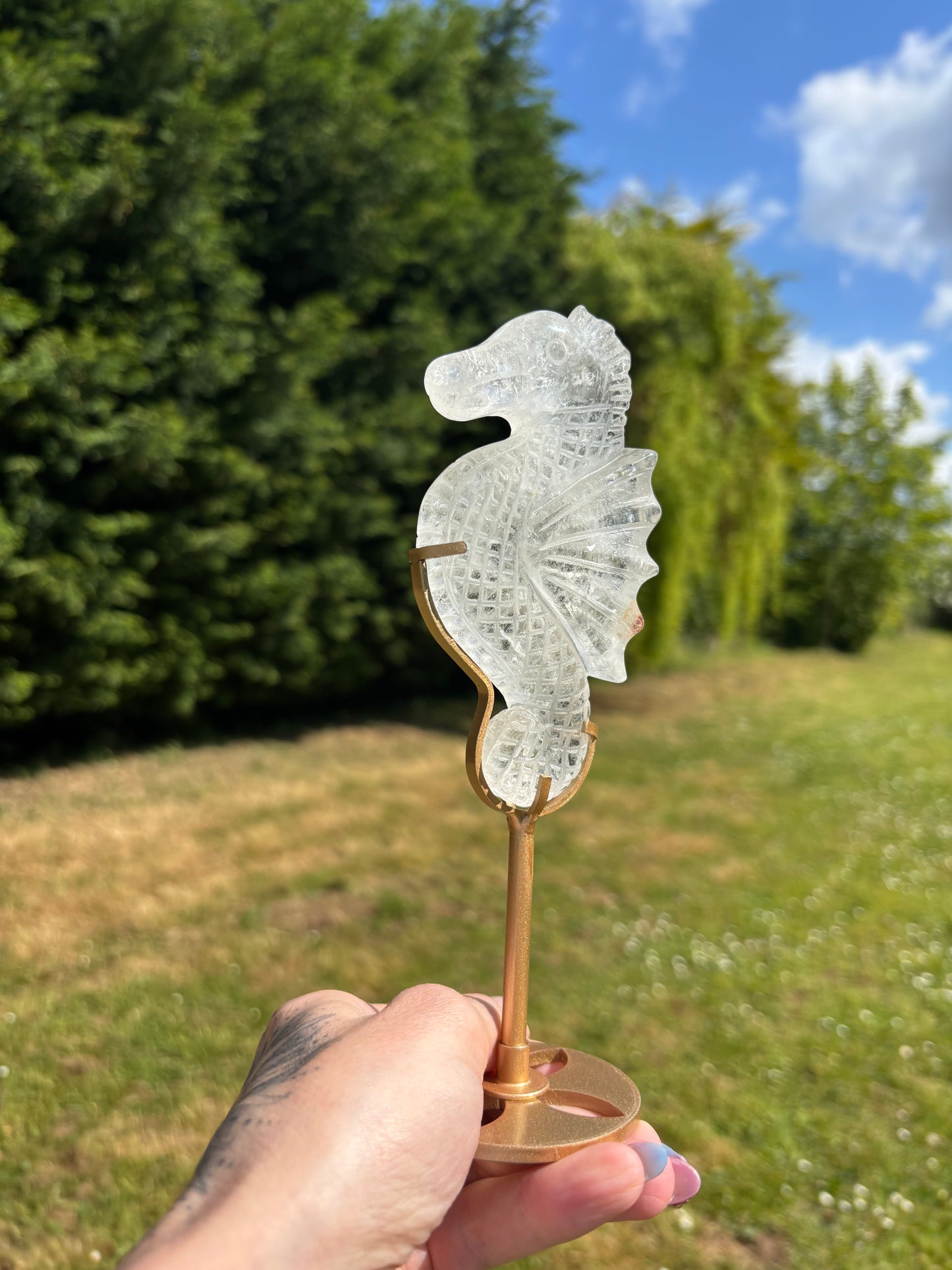 Clear quartz seahorse
