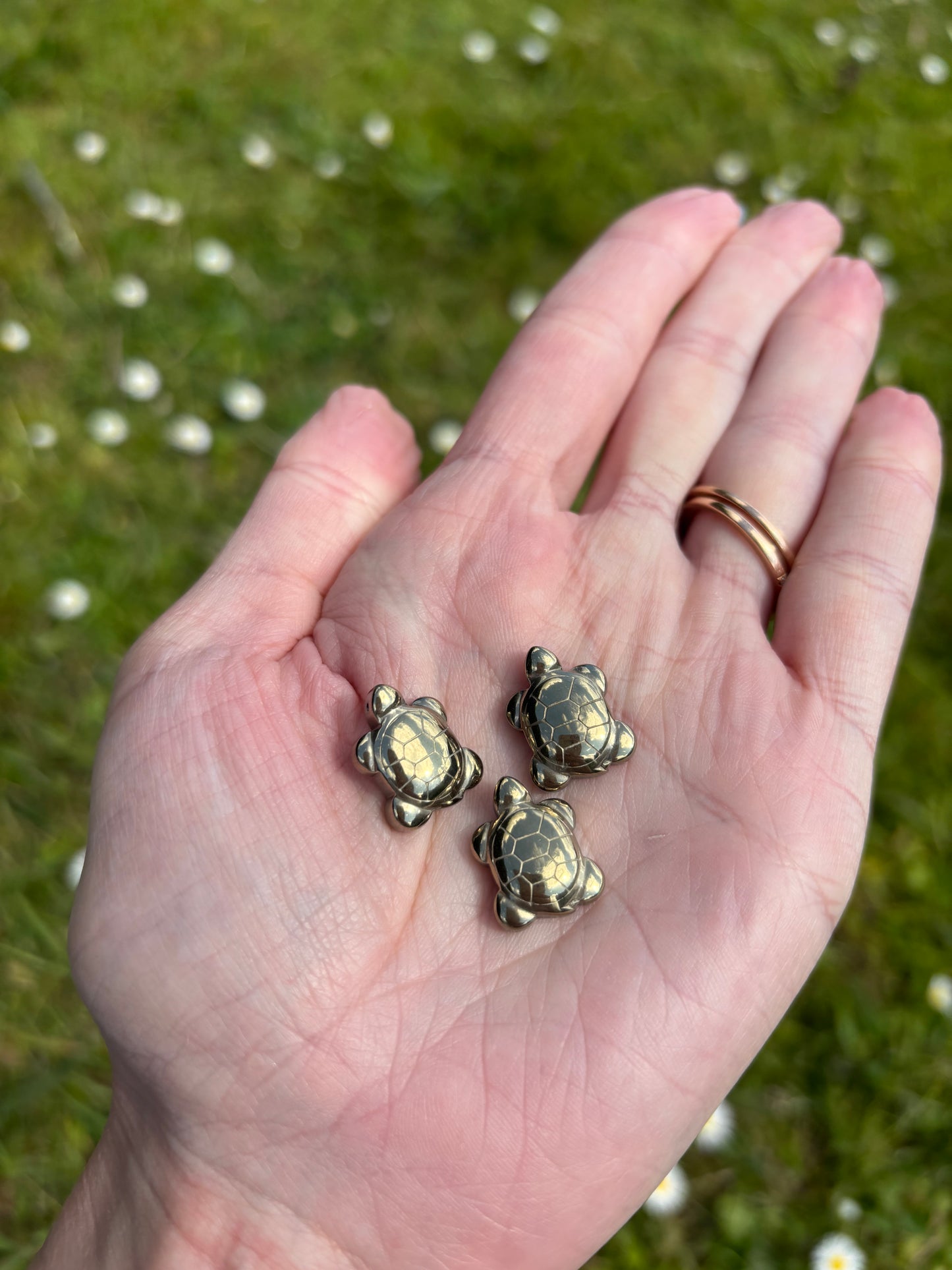 Pyrite mini turtle
