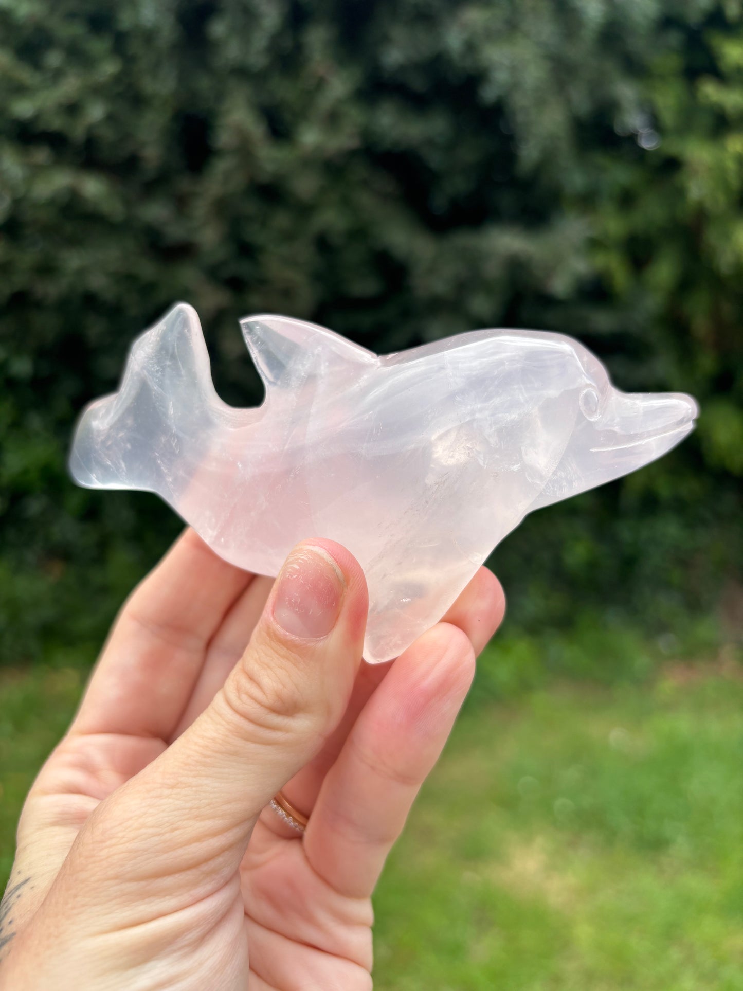 Rose quartz dolphin