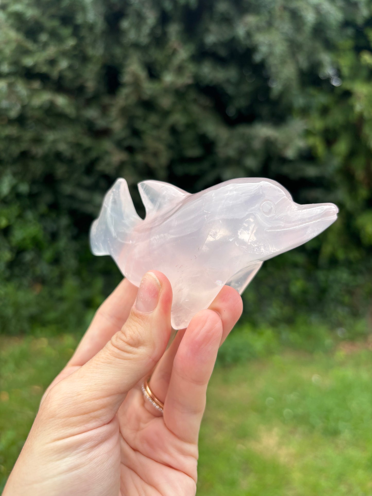 Rose quartz dolphin